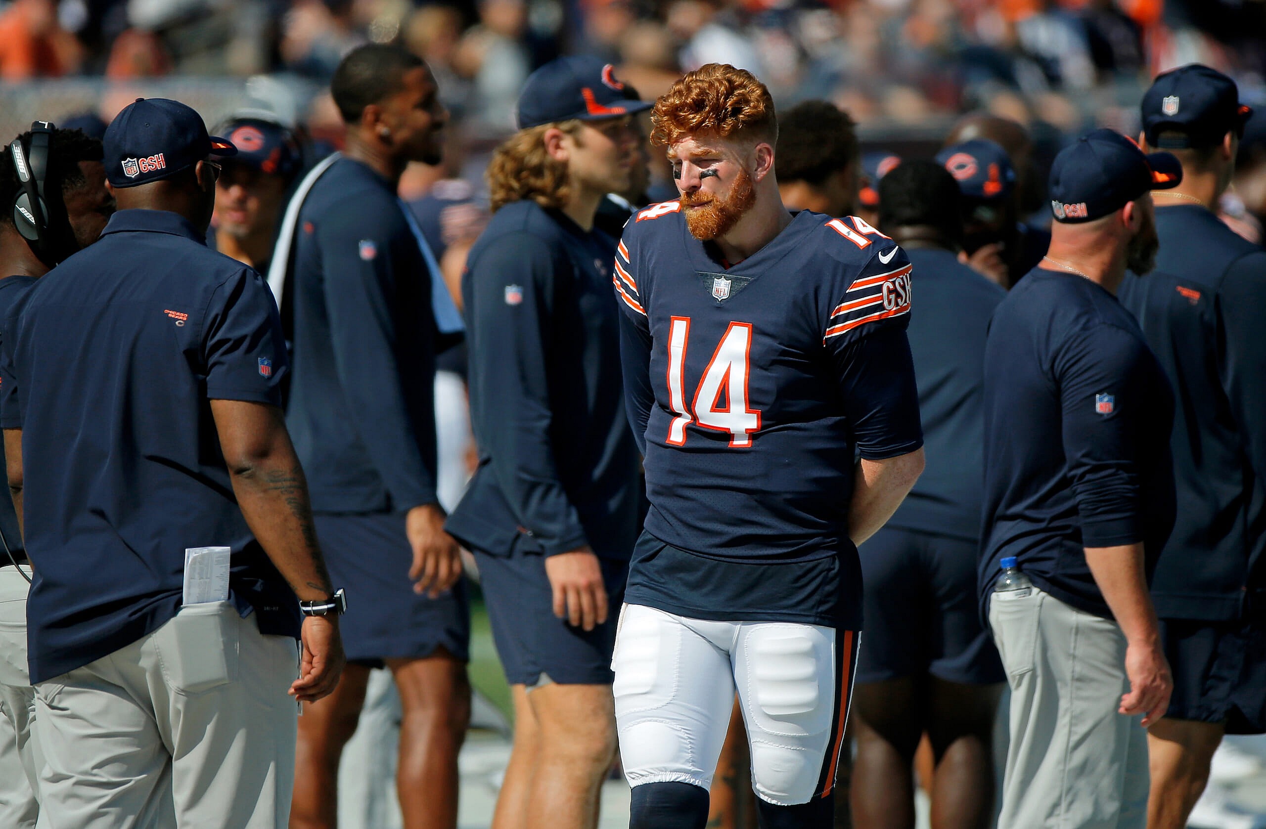chicago bears qb andy dalton