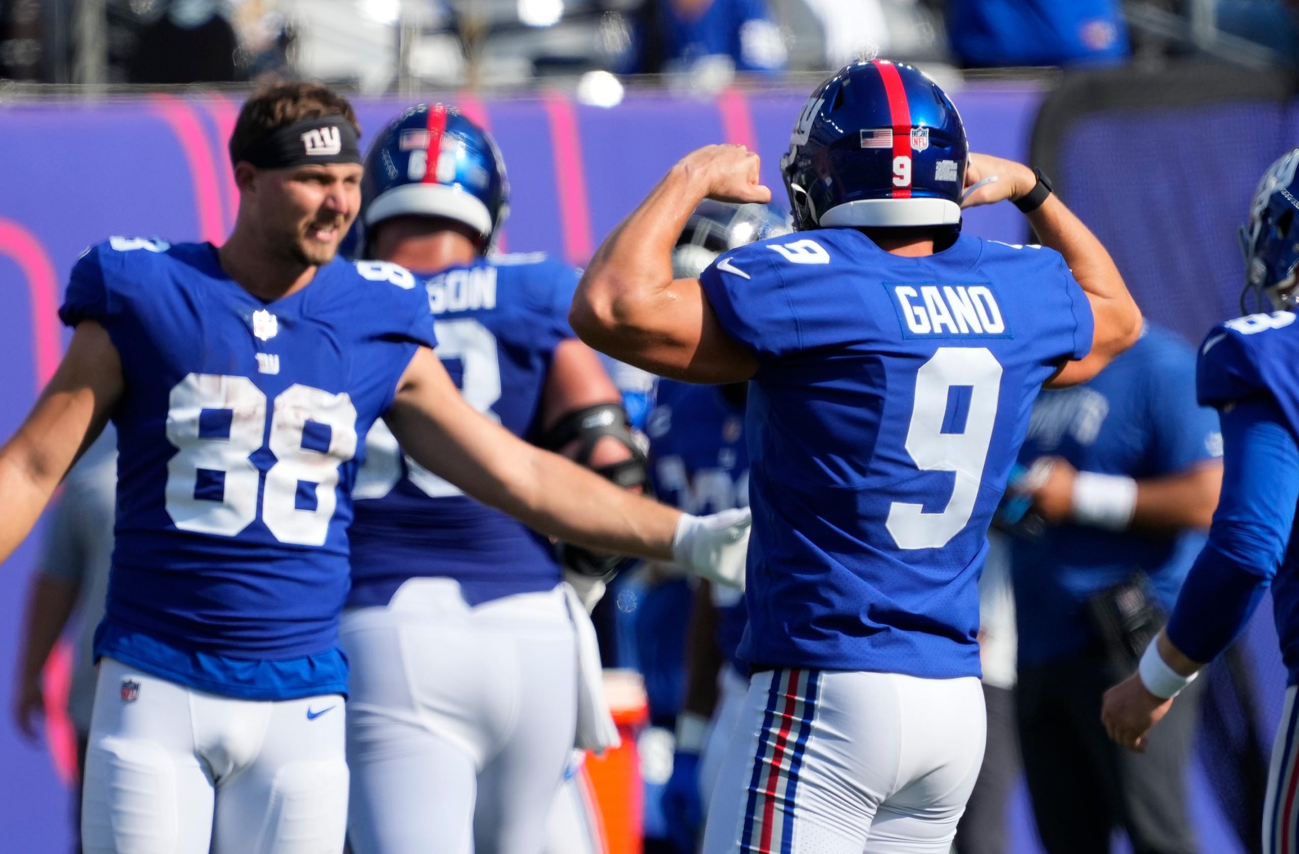NFL: Carolina Panthers at New York Giants