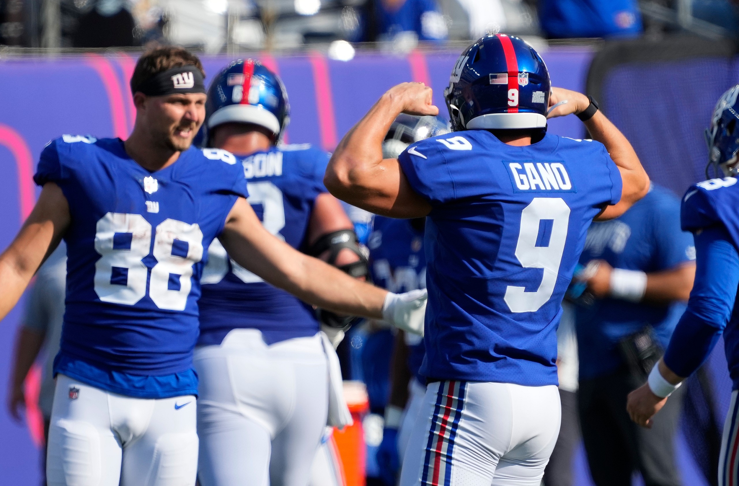 NFL: Carolina Panthers at New York Giants