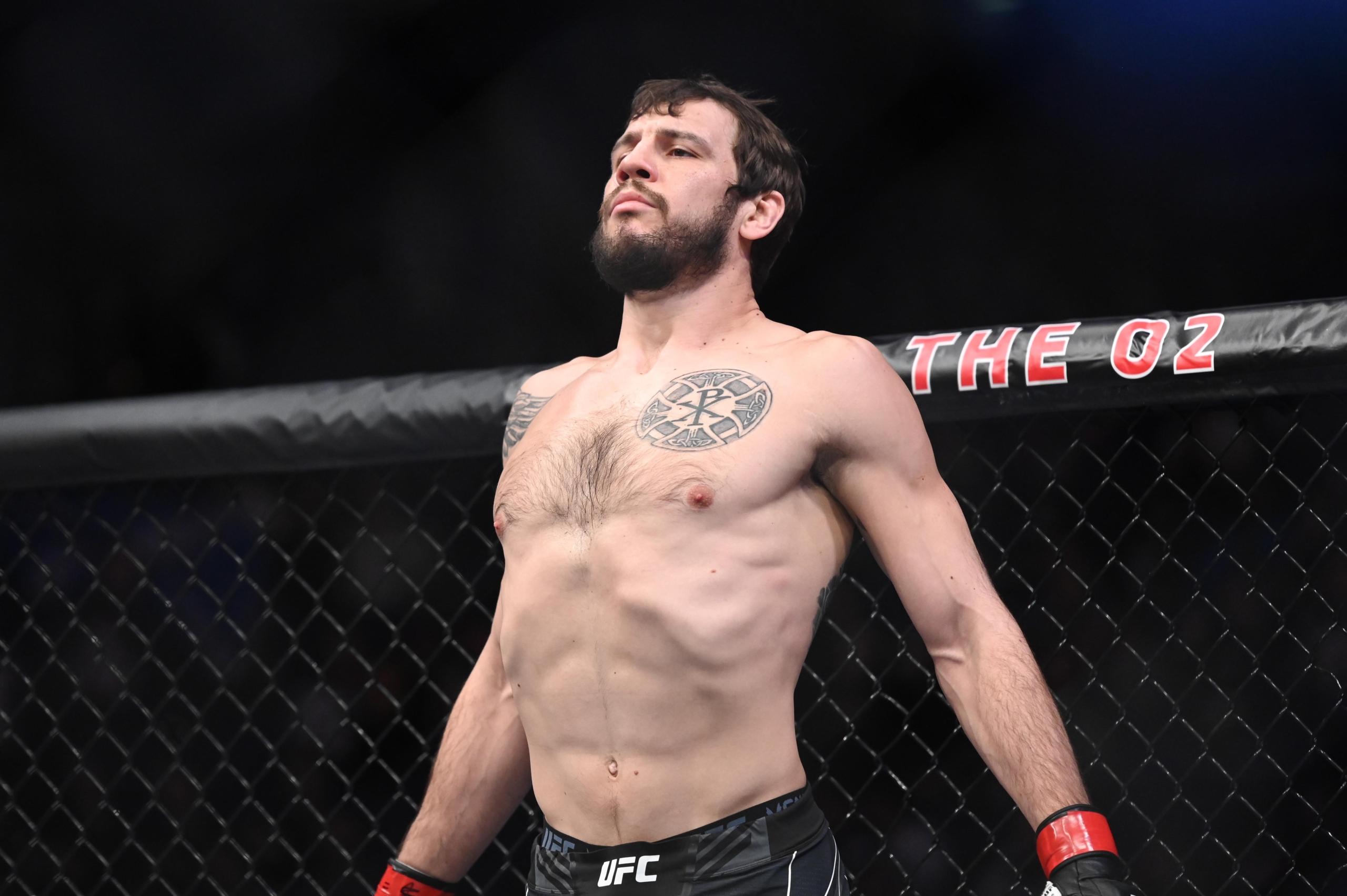 alexander gustafsson, nikita krylov, ufc