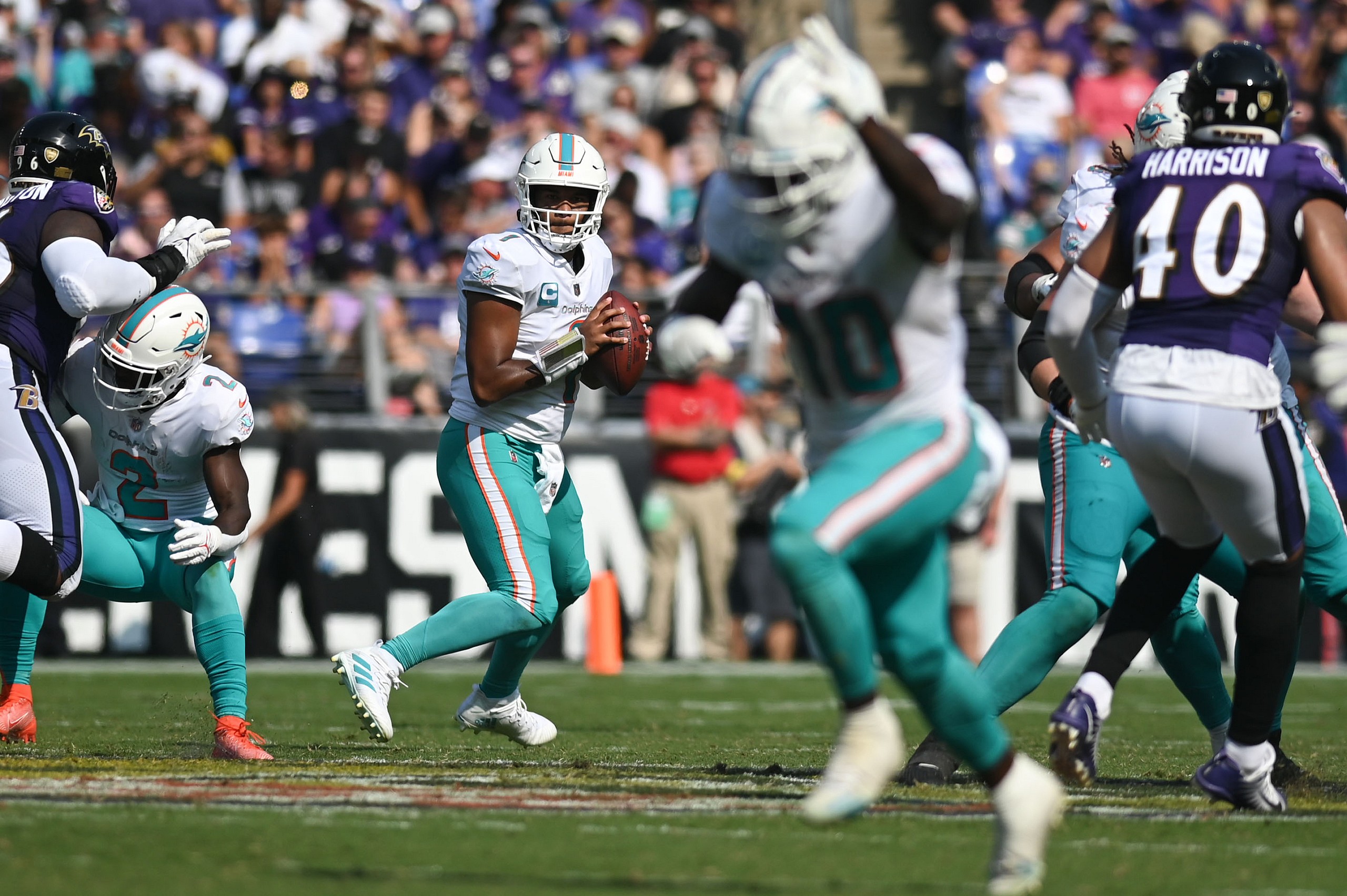 NFL: Miami Dolphins at Baltimore Ravens