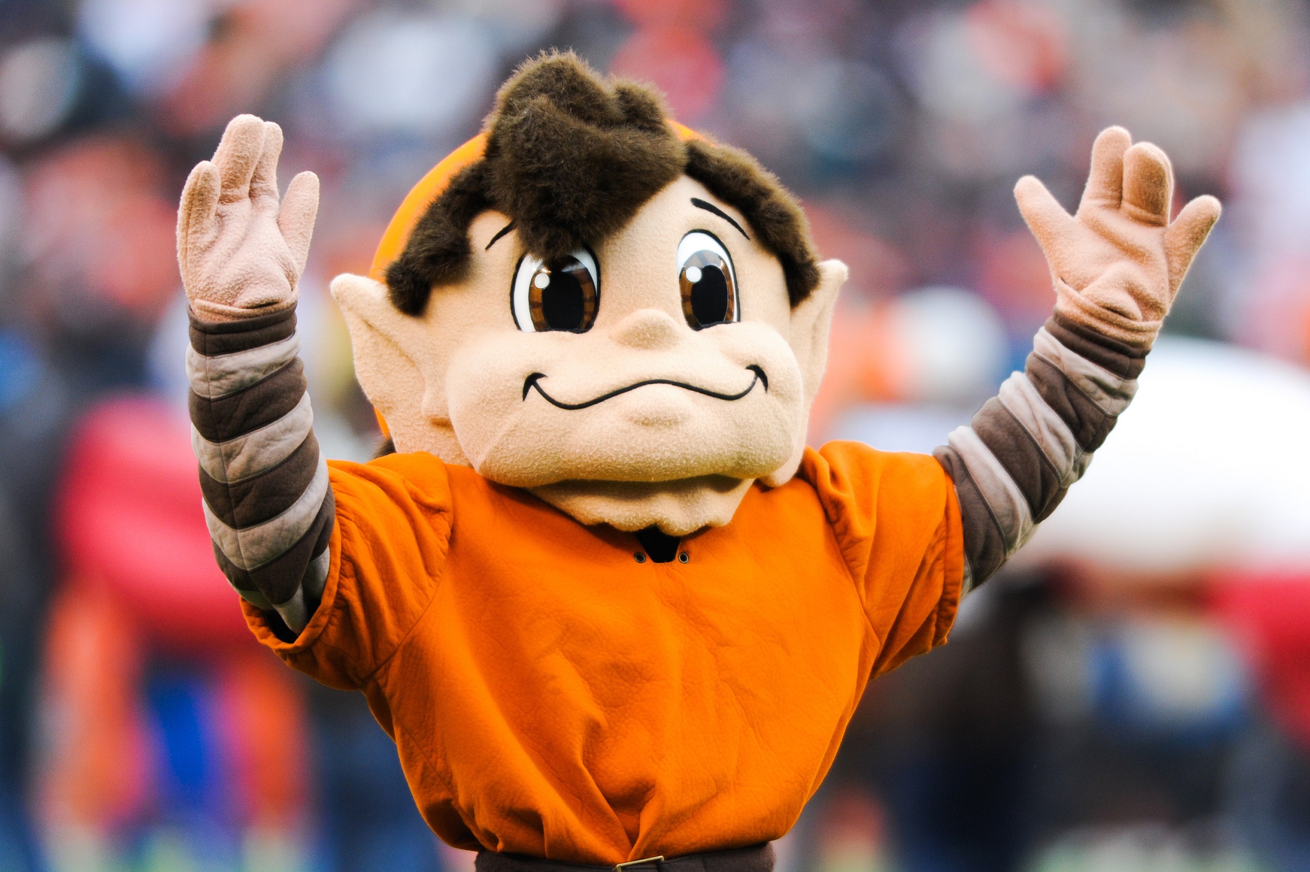 cleveland browns, brownie the elf