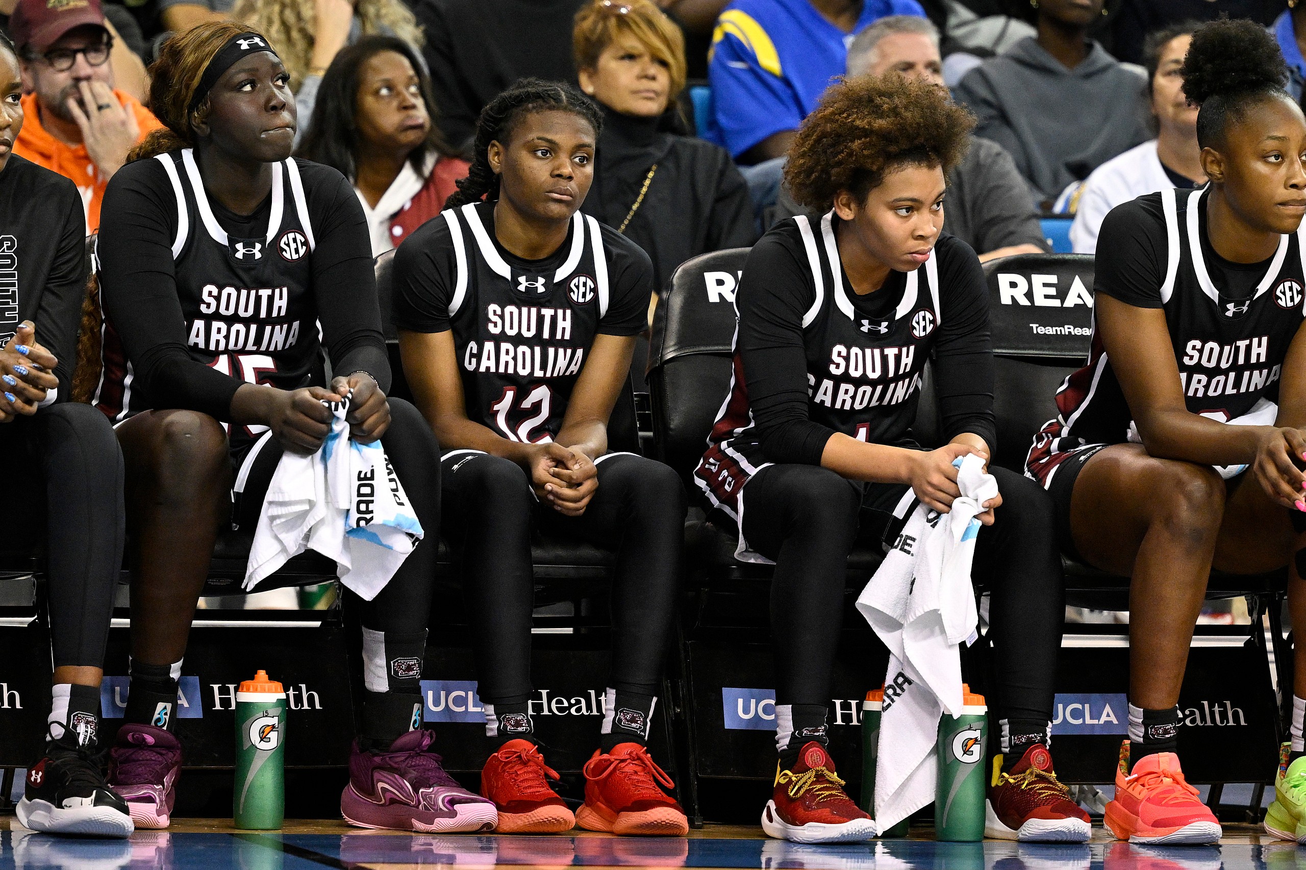 South Carolina Gamecocks