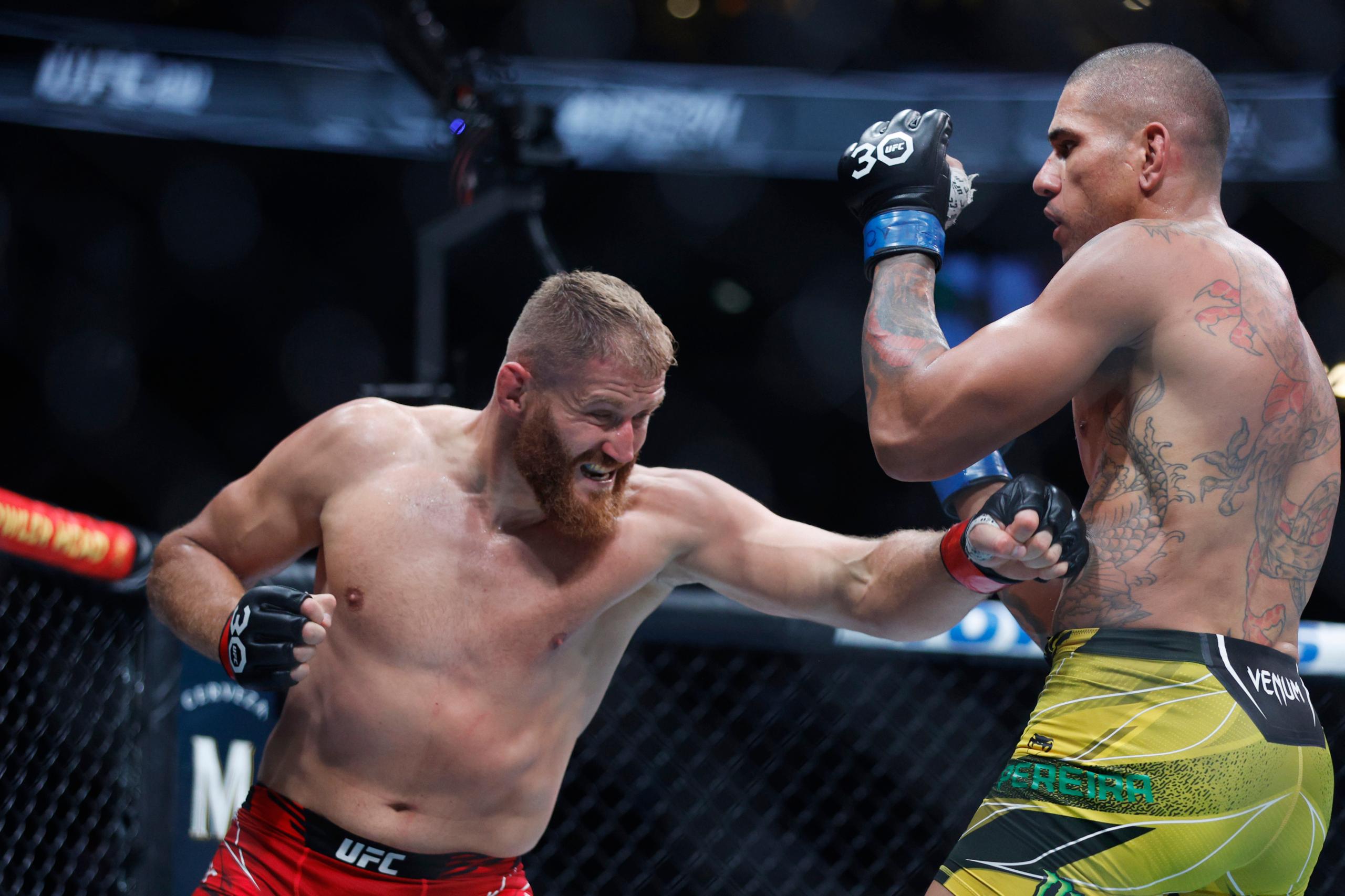 jan blachowicz