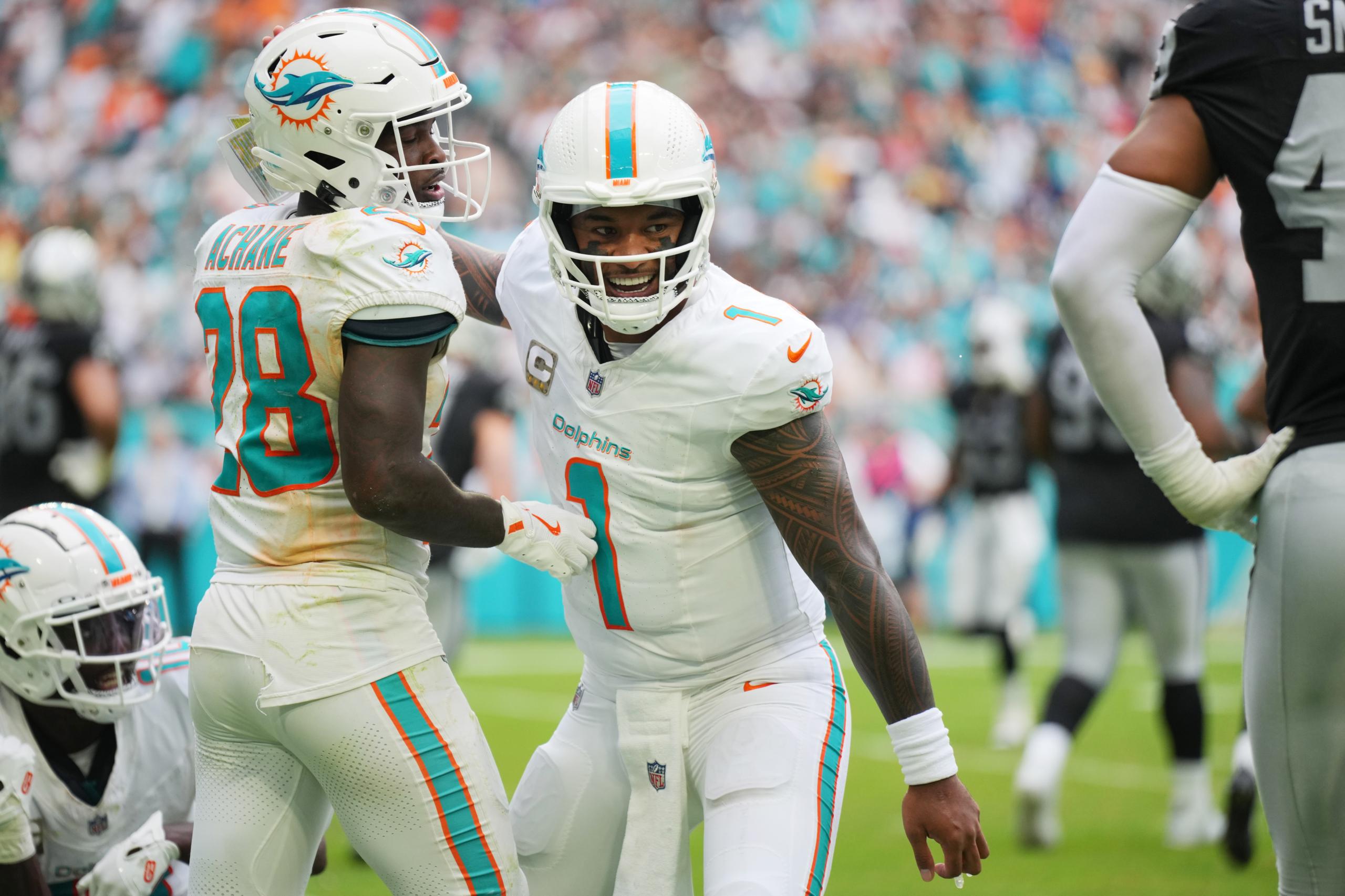dolphins game today