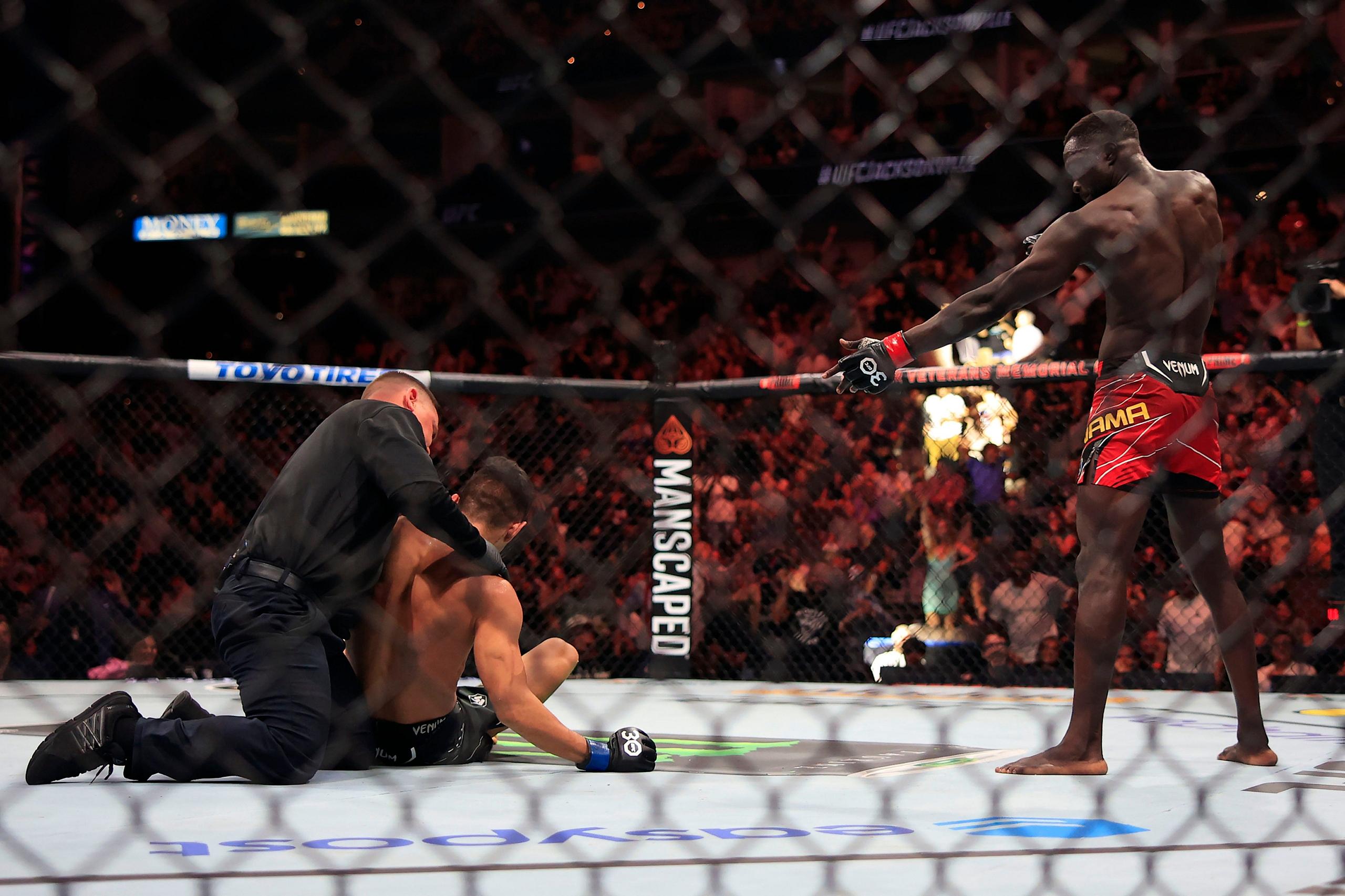 ufc deaths