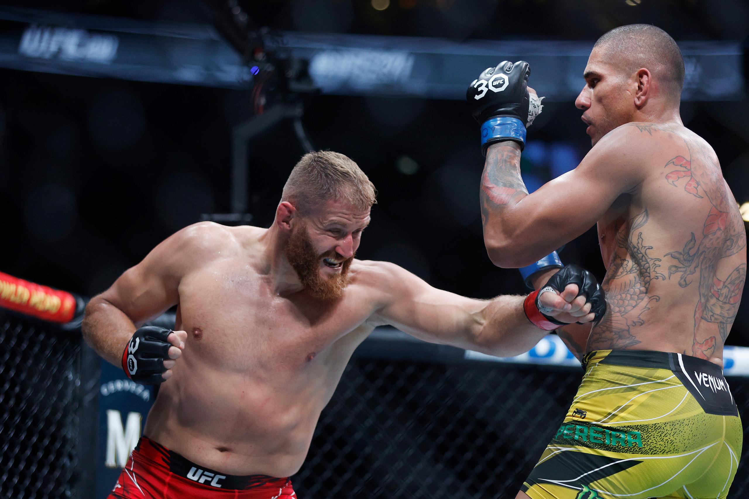 jan blachowicz