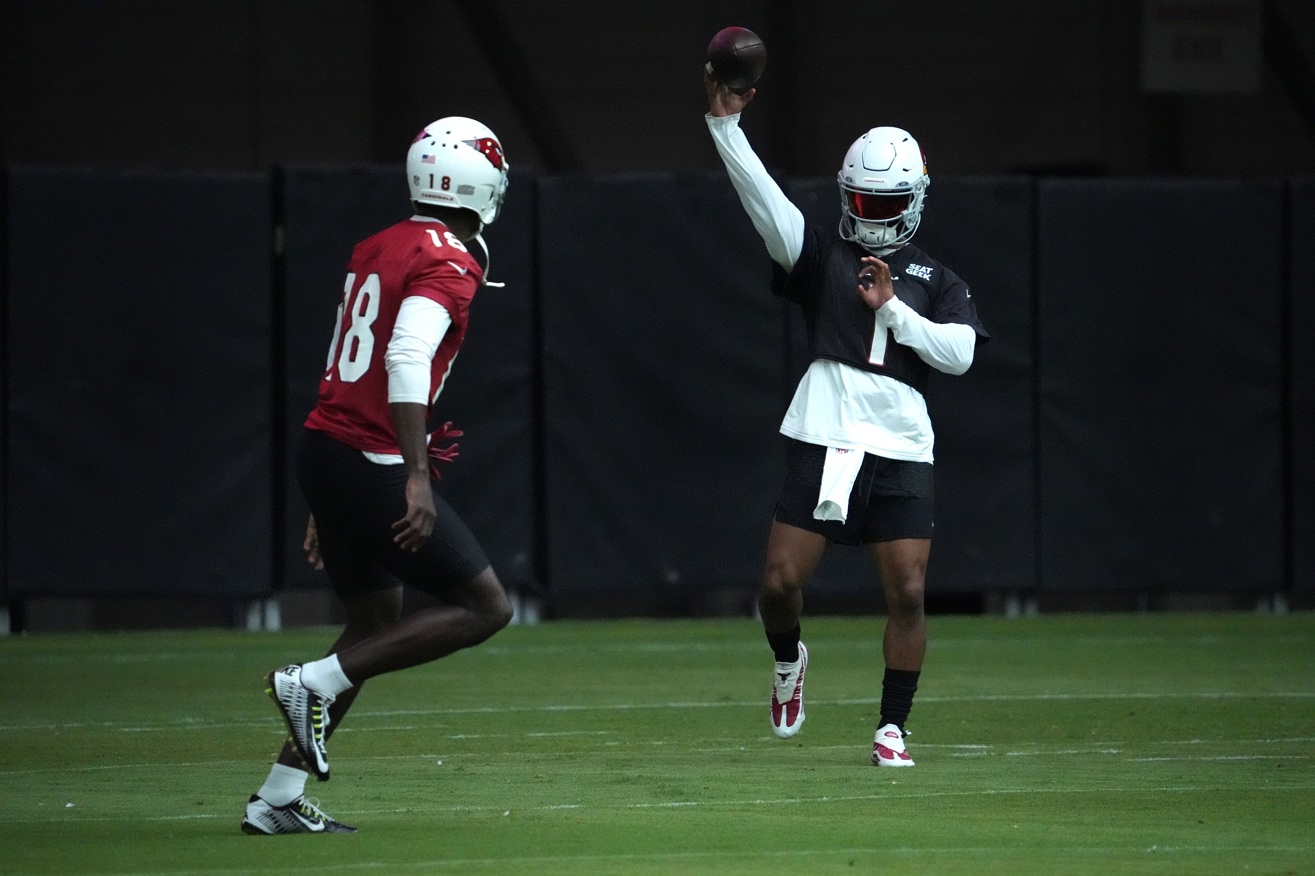 NFL: Arizona Cardinals Training Camp