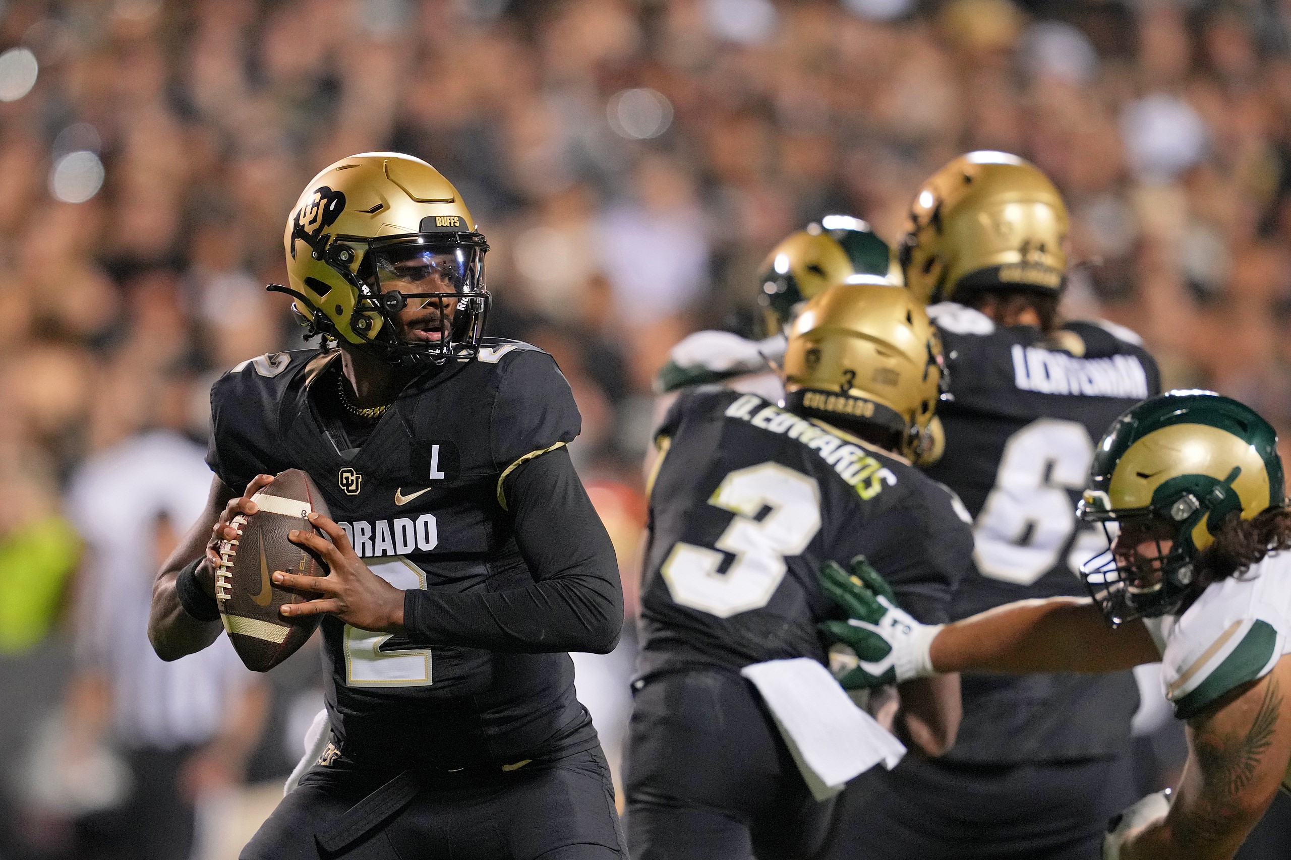 colorado buffaloes
