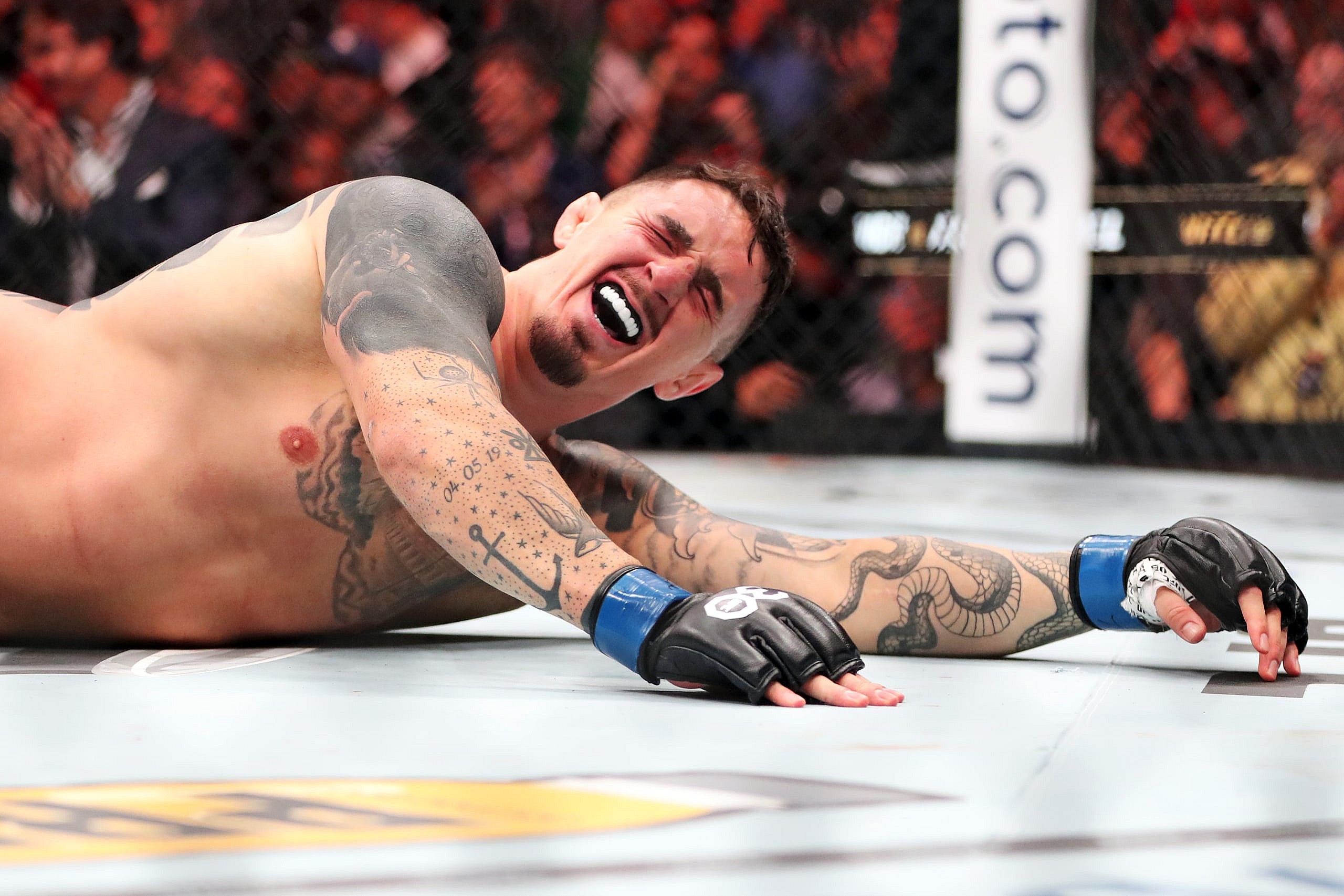 ufc heavyweight rankings