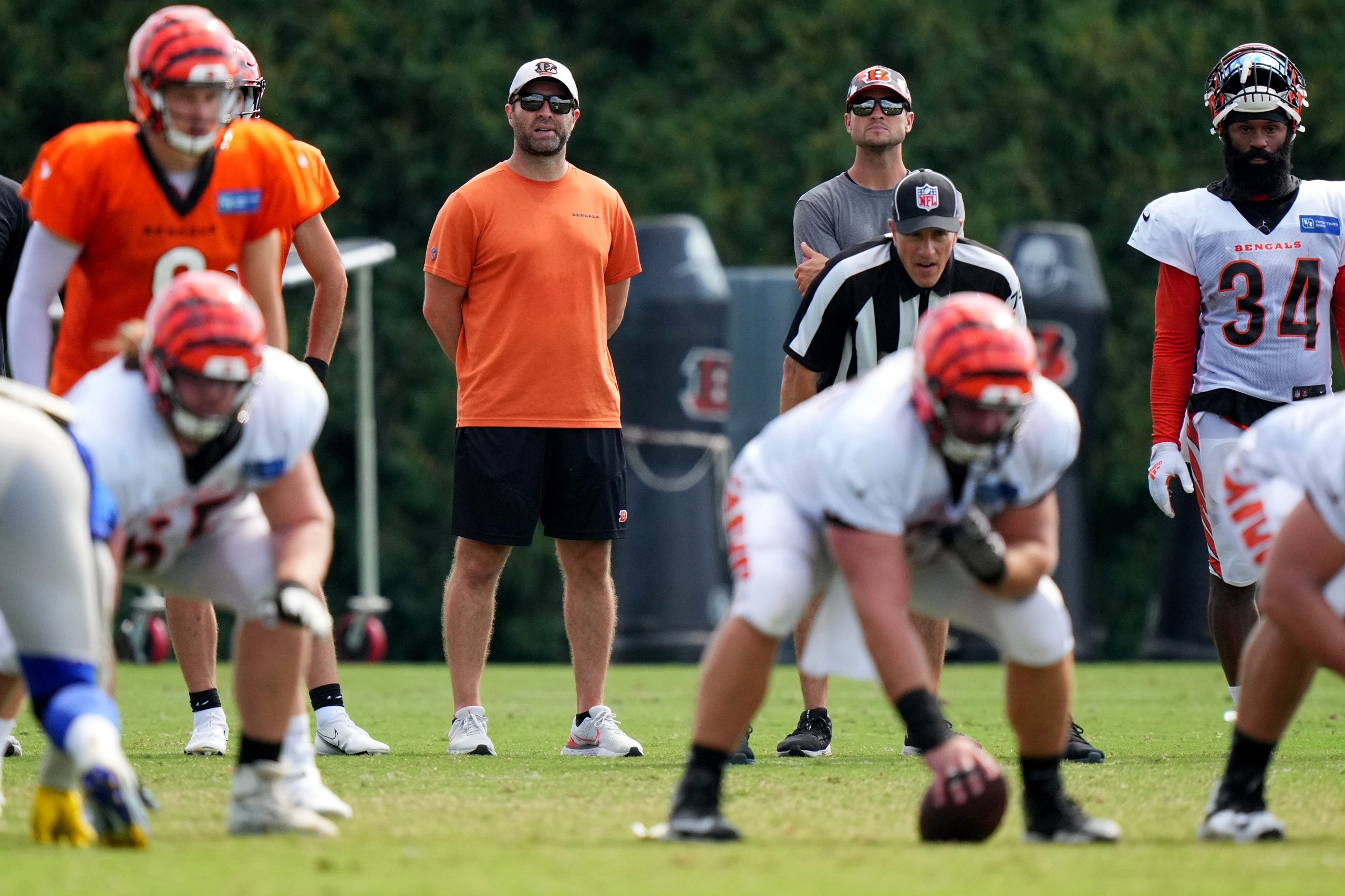 carolina panthers, tennessee titans