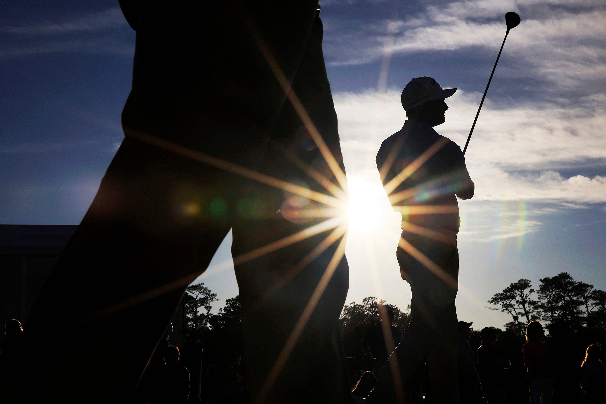 the players championship scottie scheffler