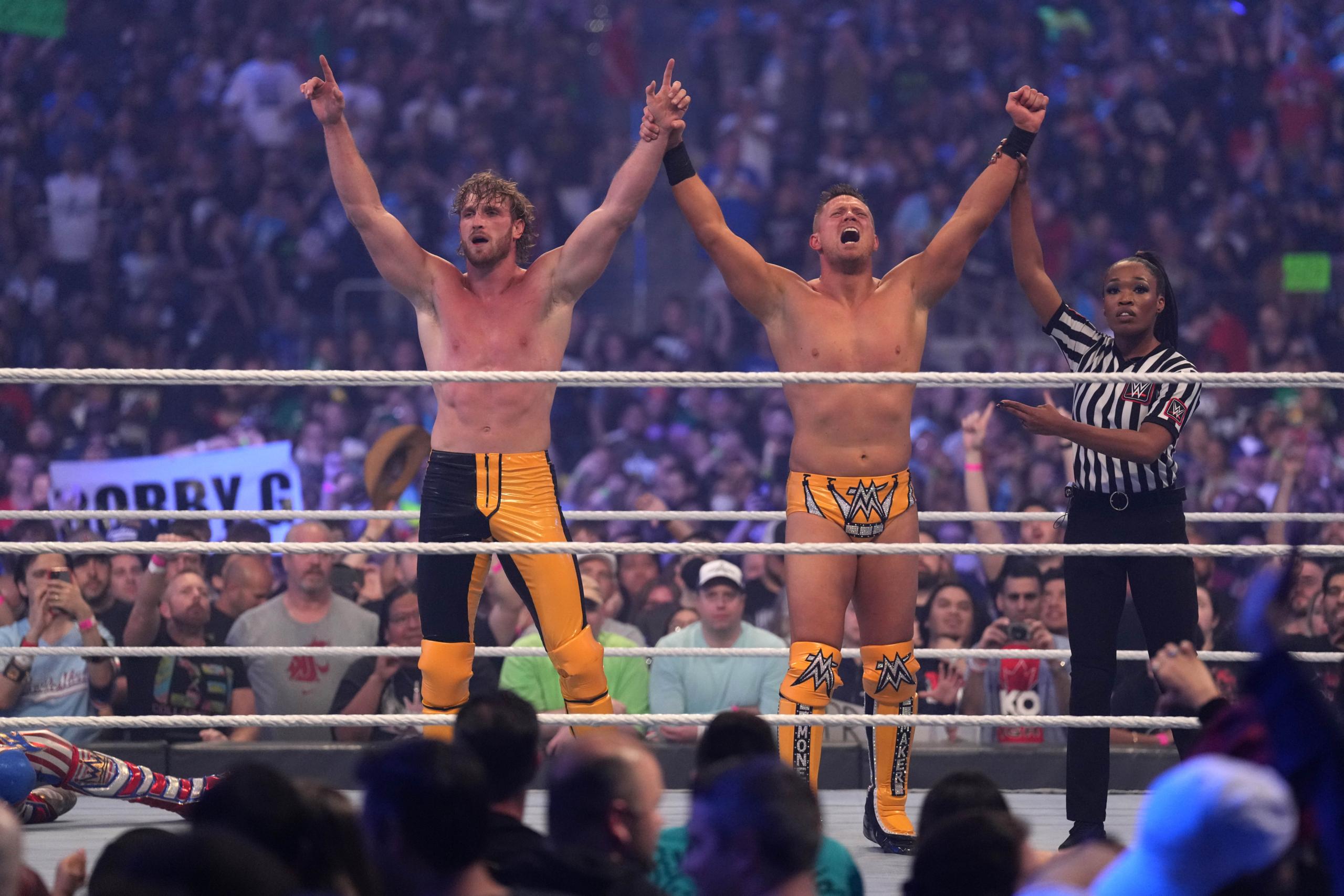 jake paul, logan paul, wwe