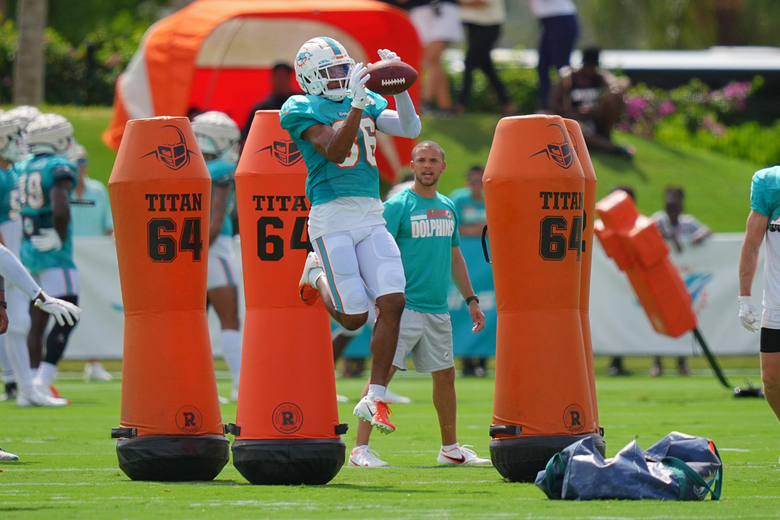 miami dolphins