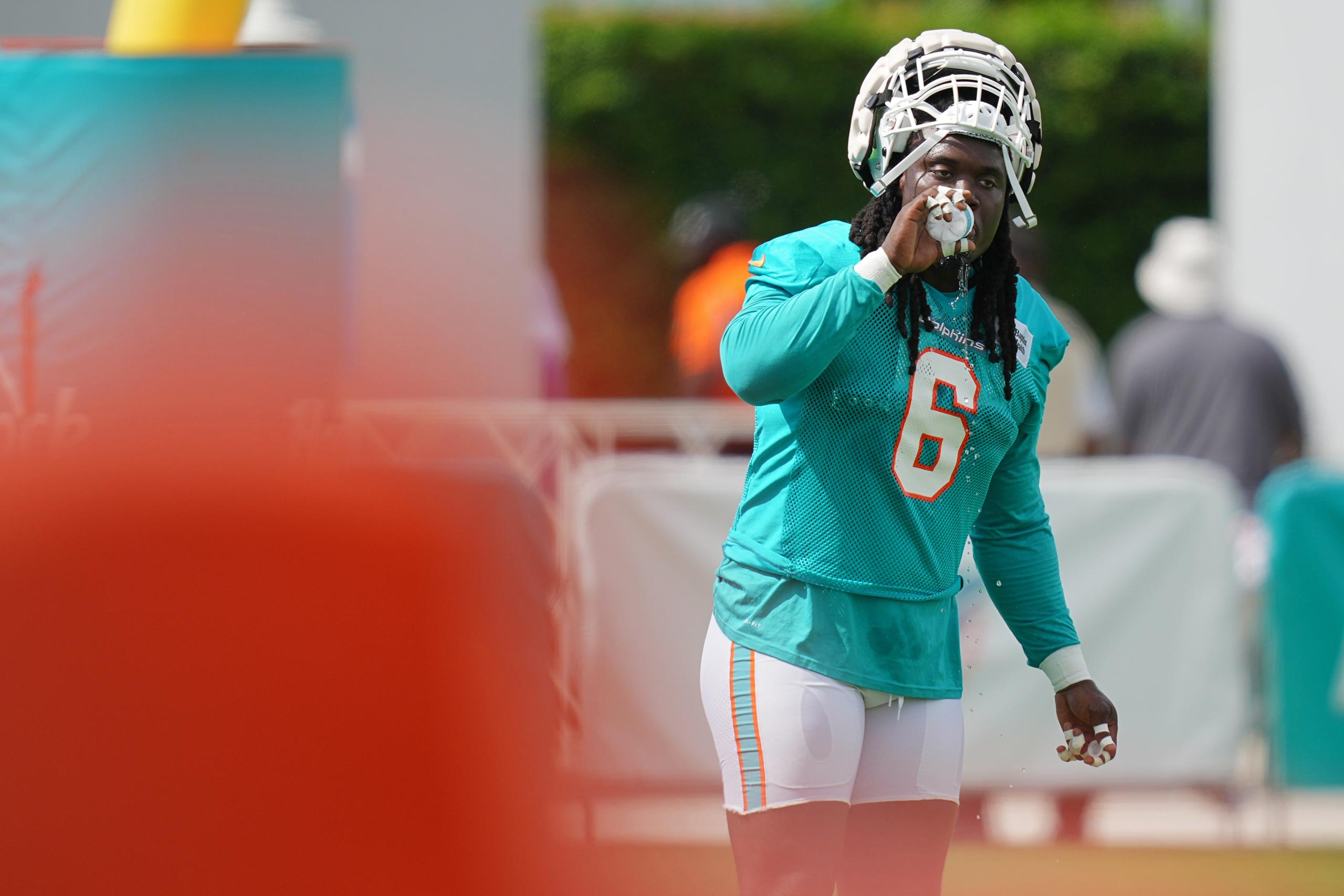 miami dolphins
