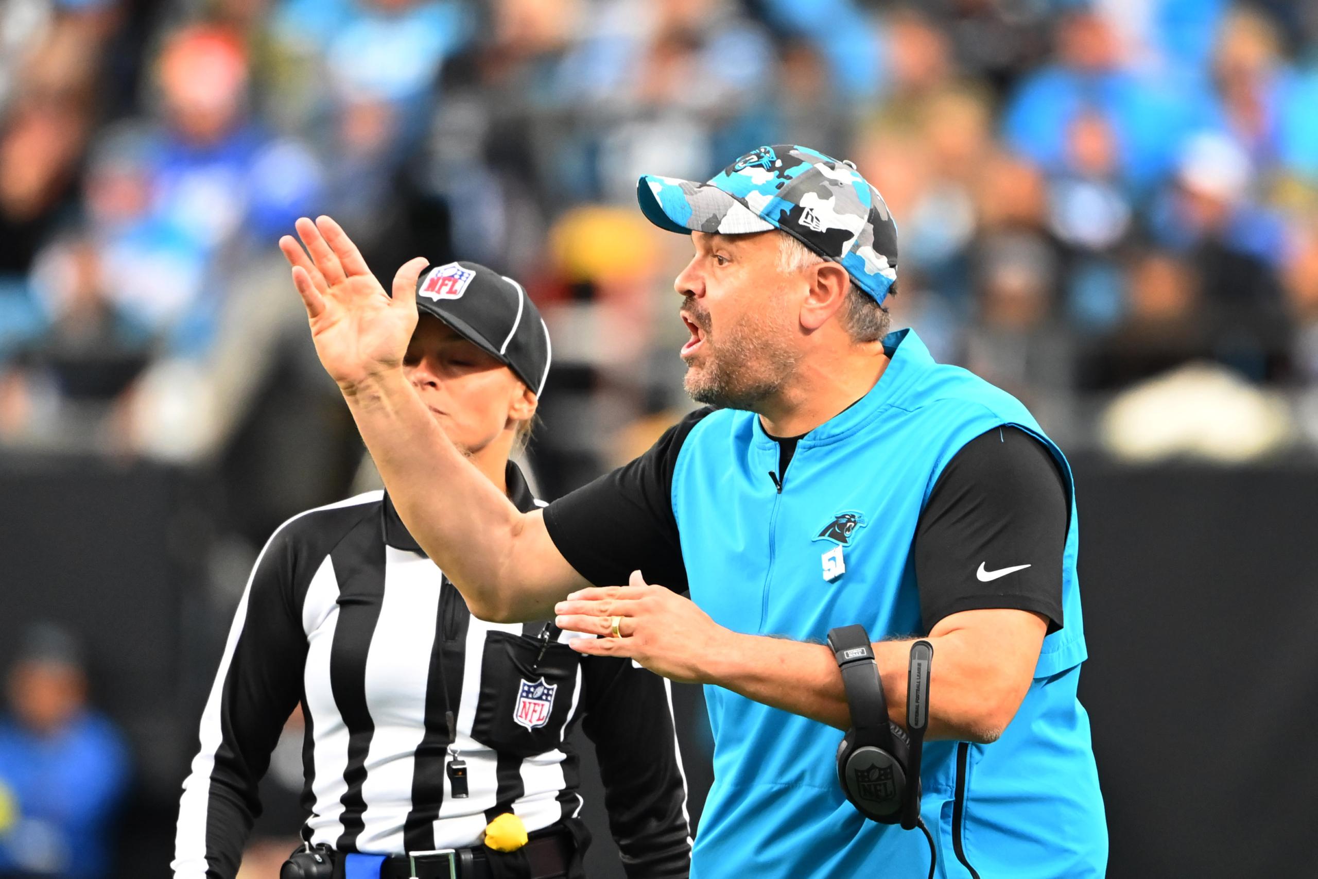 carolina panthers