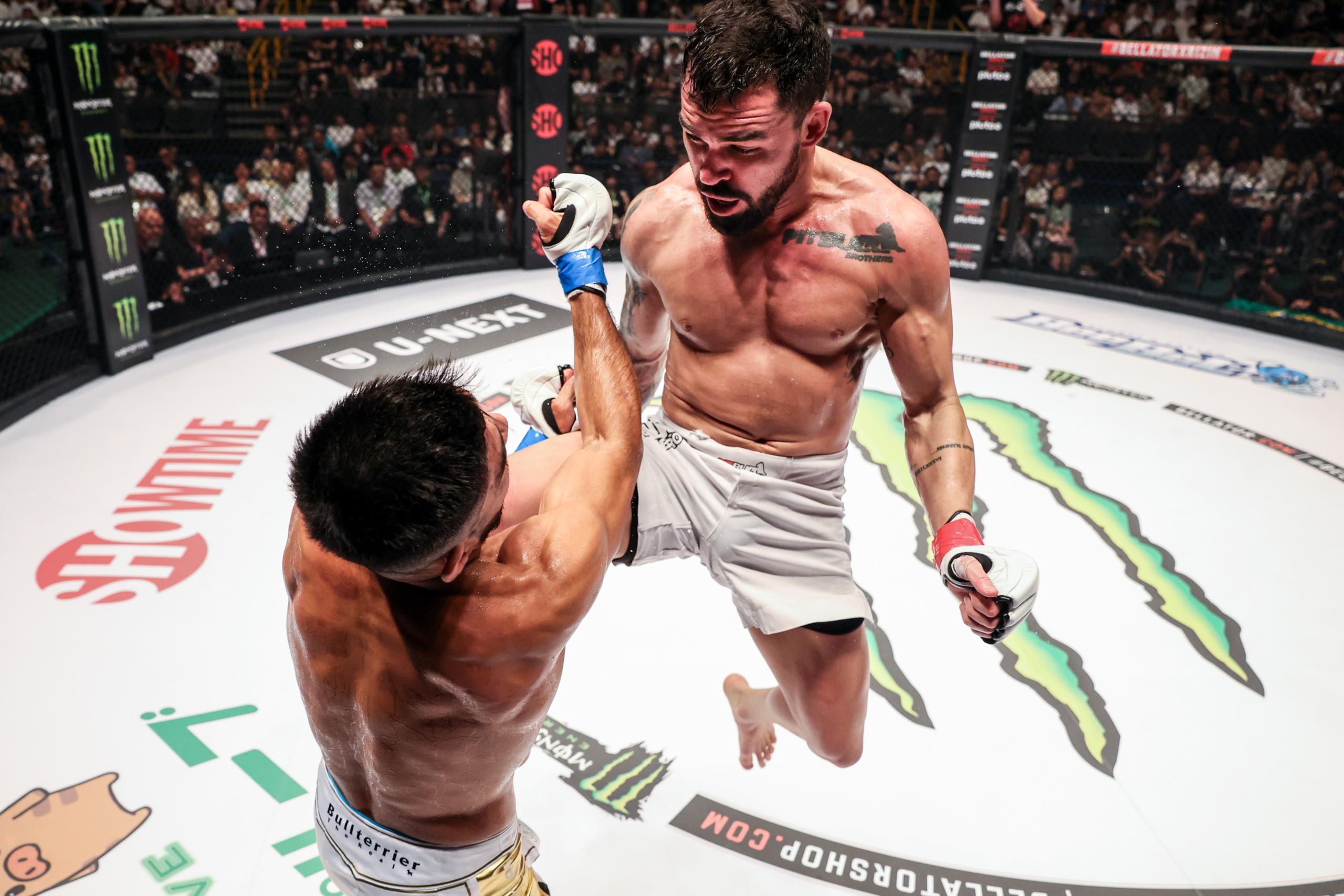 pfl mma, ufc