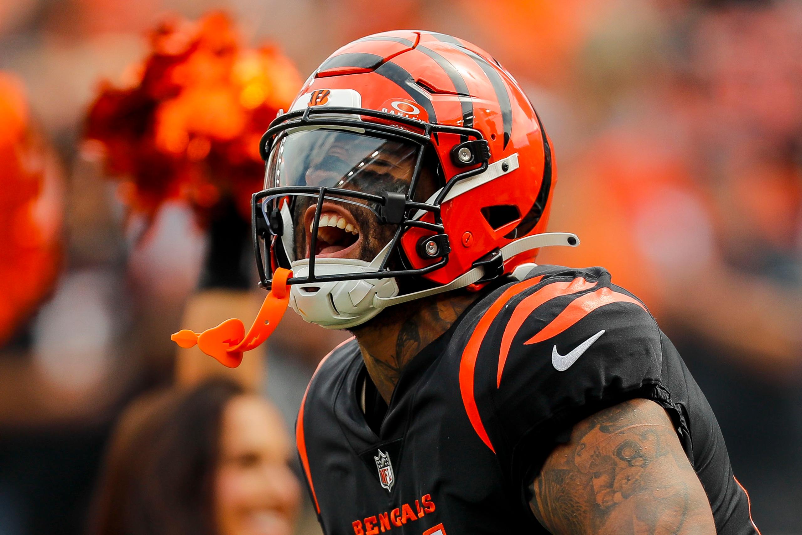 NFL: Baltimore Ravens at Cincinnati Bengals