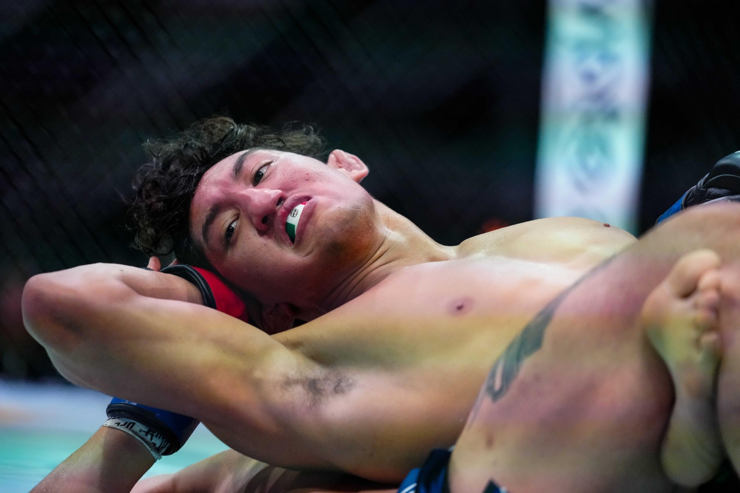 ufc predictions