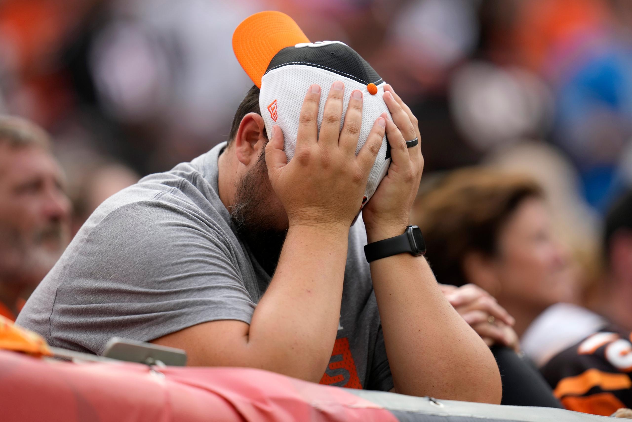 cincinnati bengals