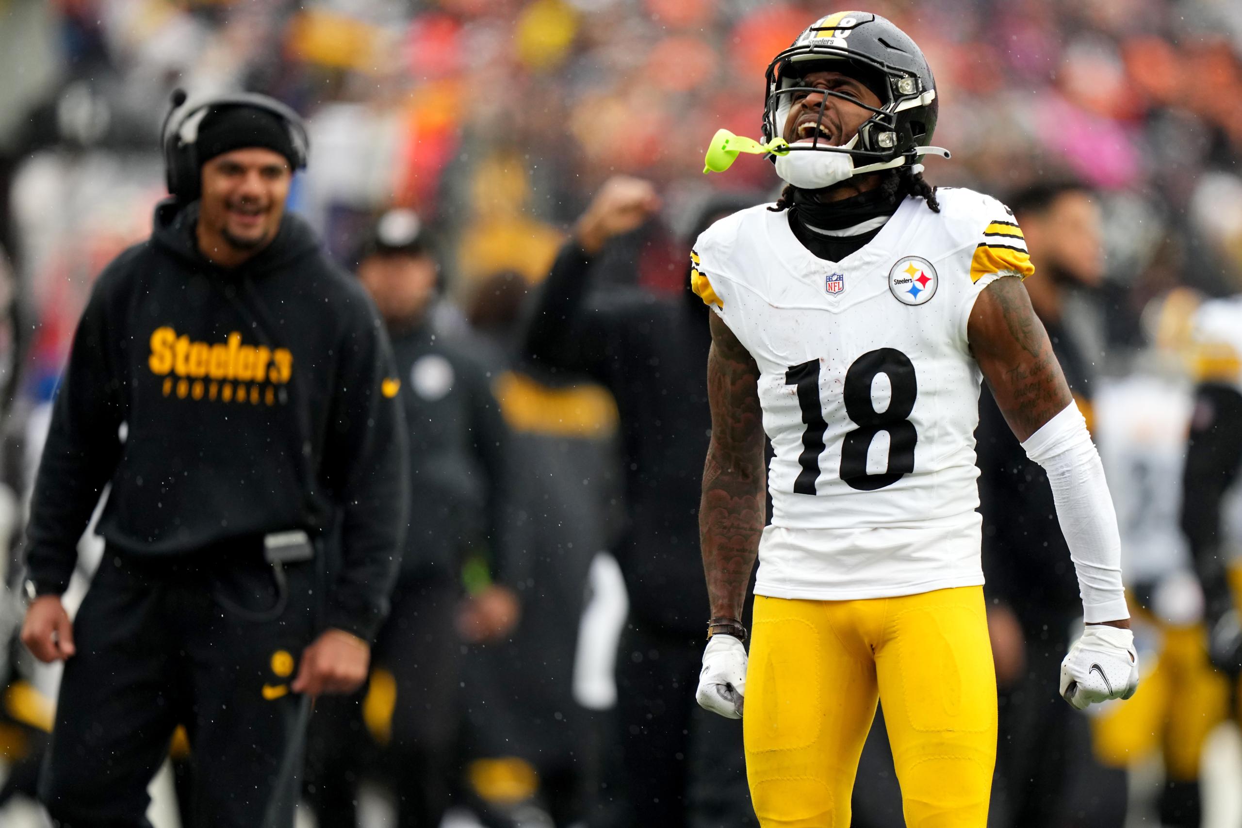 NFL: Pittsburgh Steelers at Cincinnati Bengals