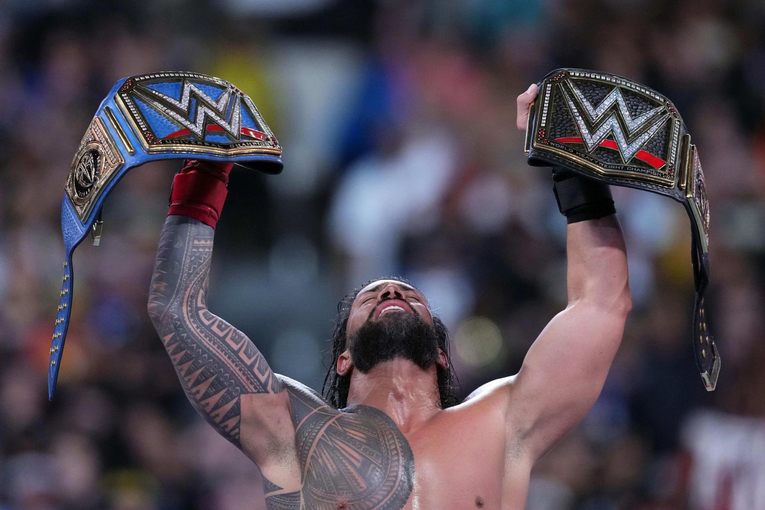 cm punk, wwe, survivor series