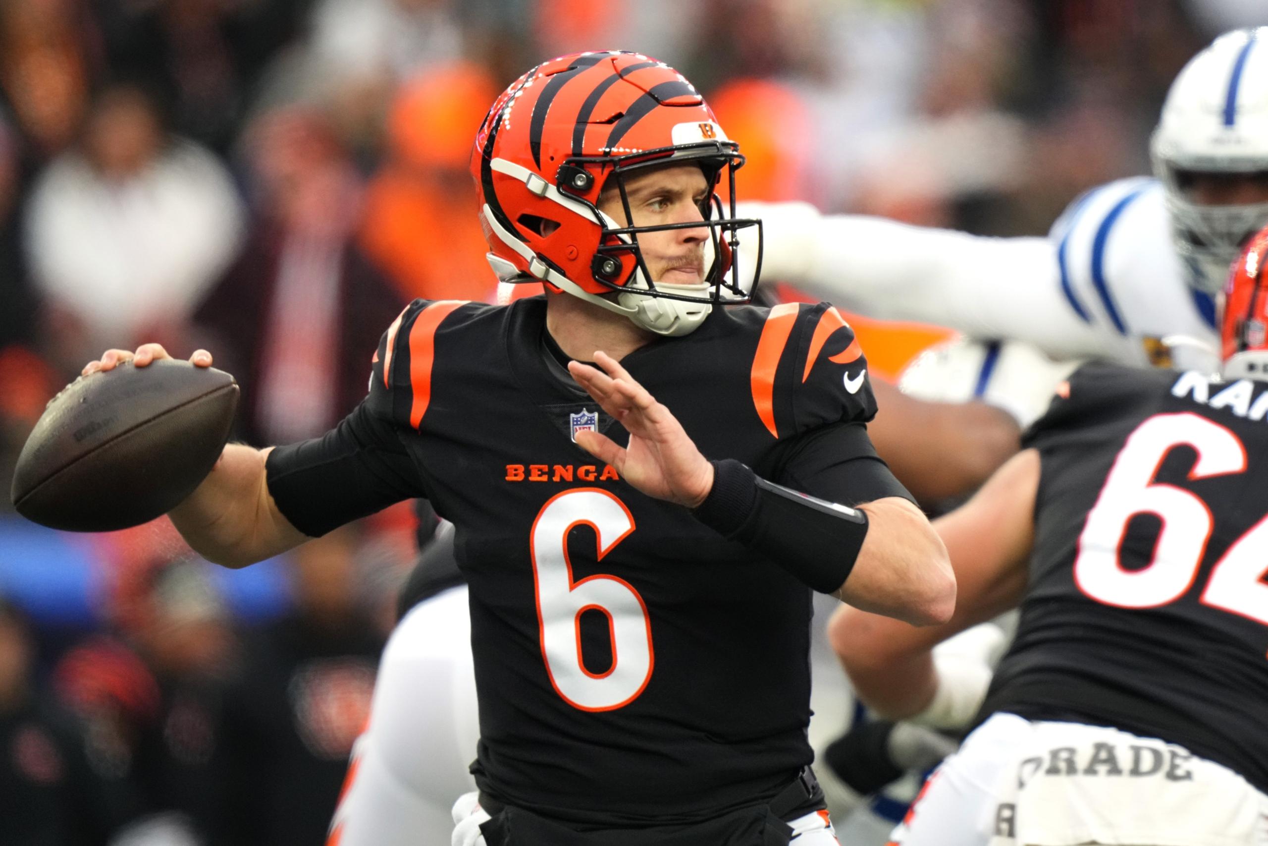 cincinnati bengals
