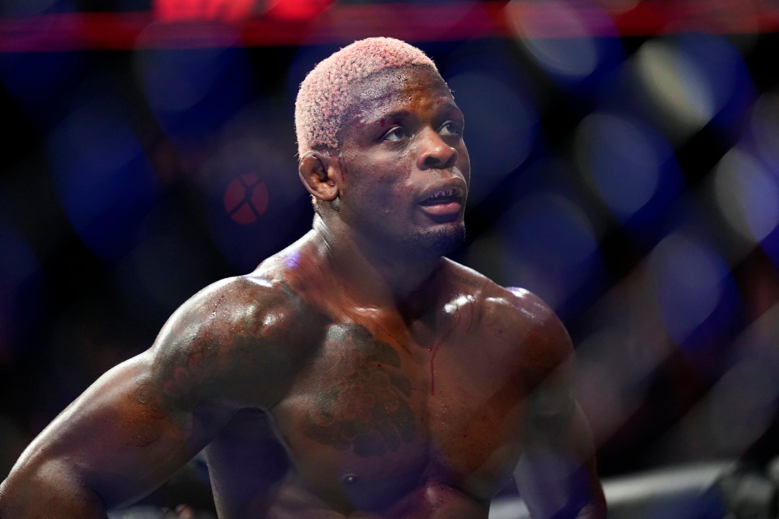 ufc predictions, ufc vegas 84