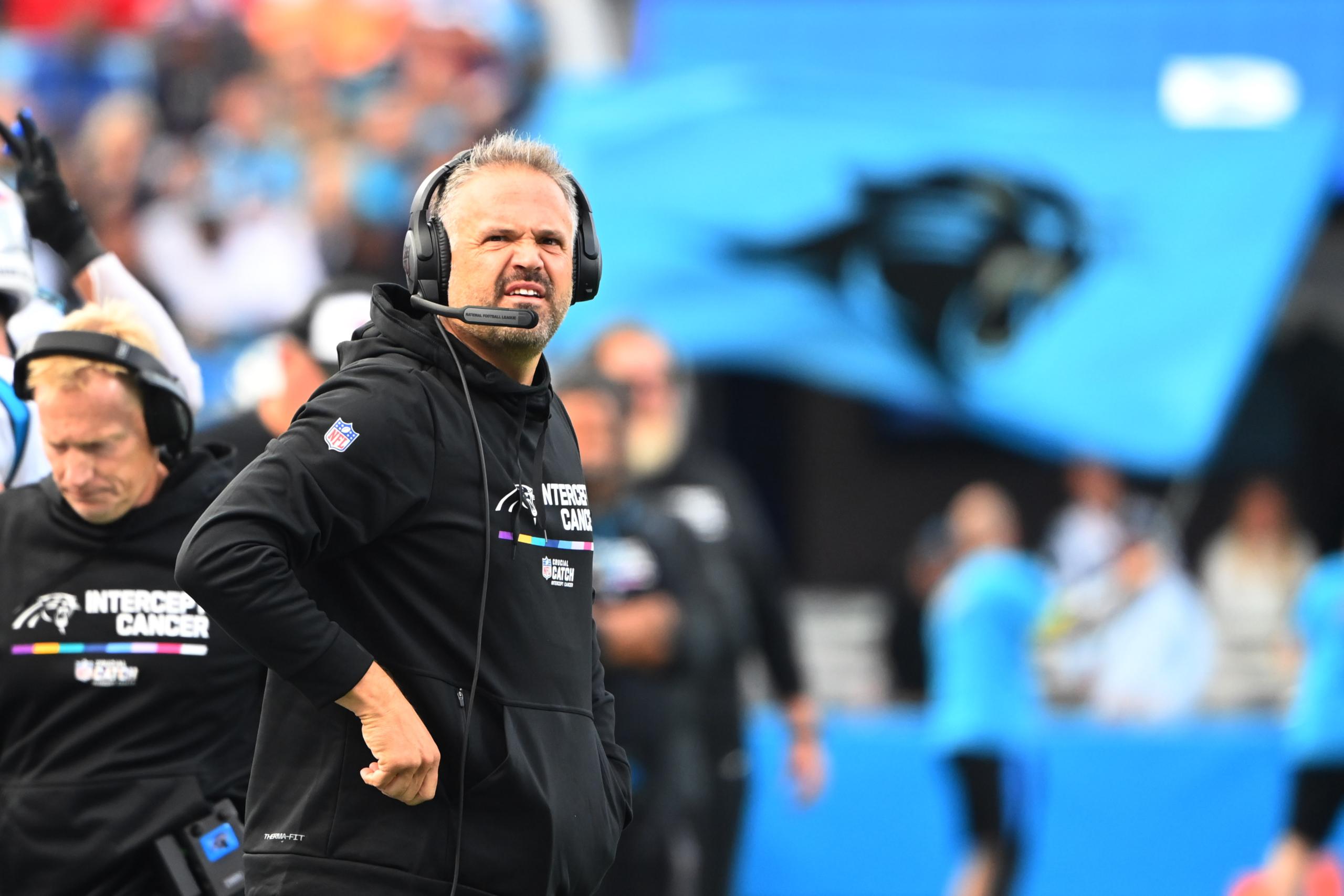 carolina panthers
