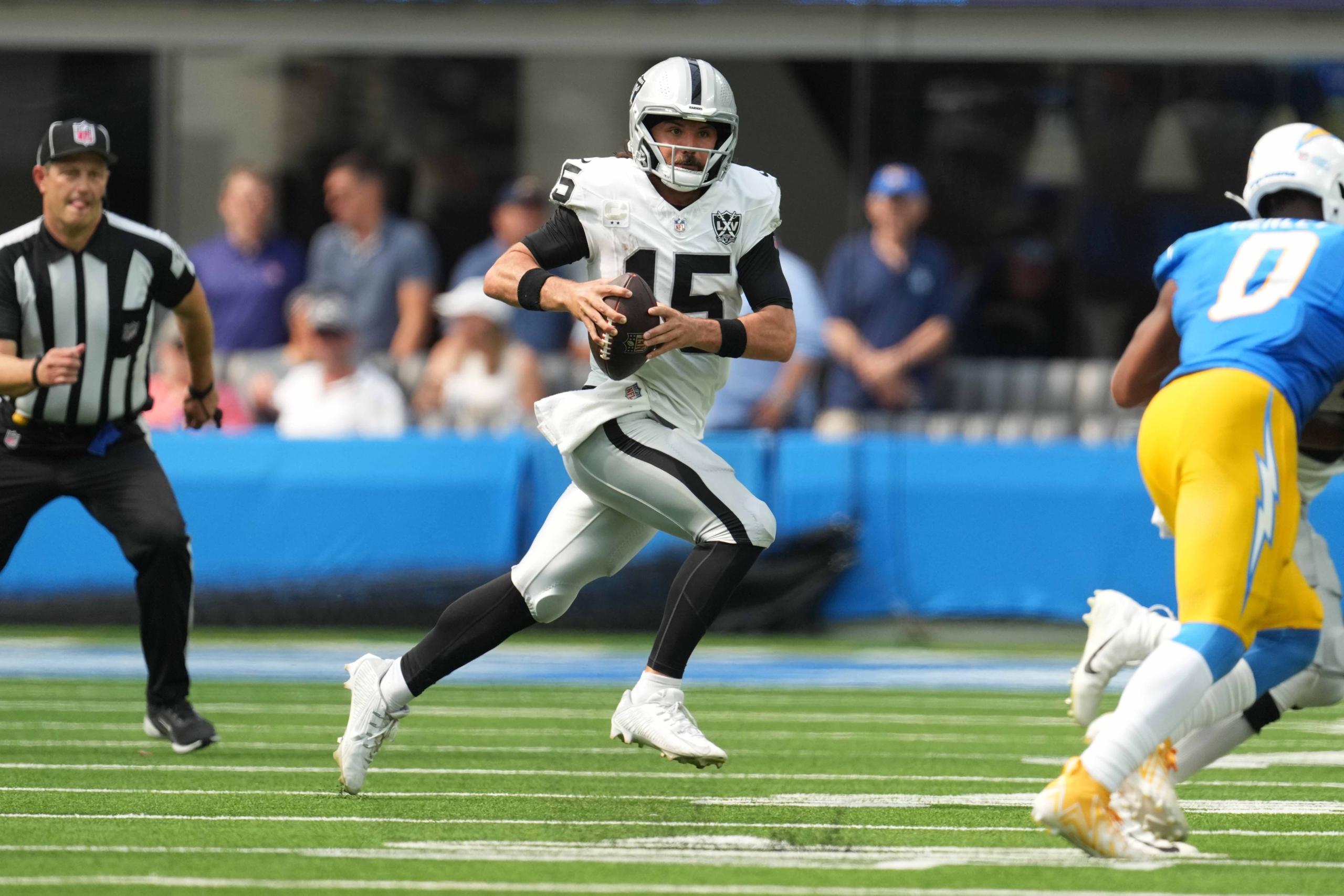 gardner minshew
