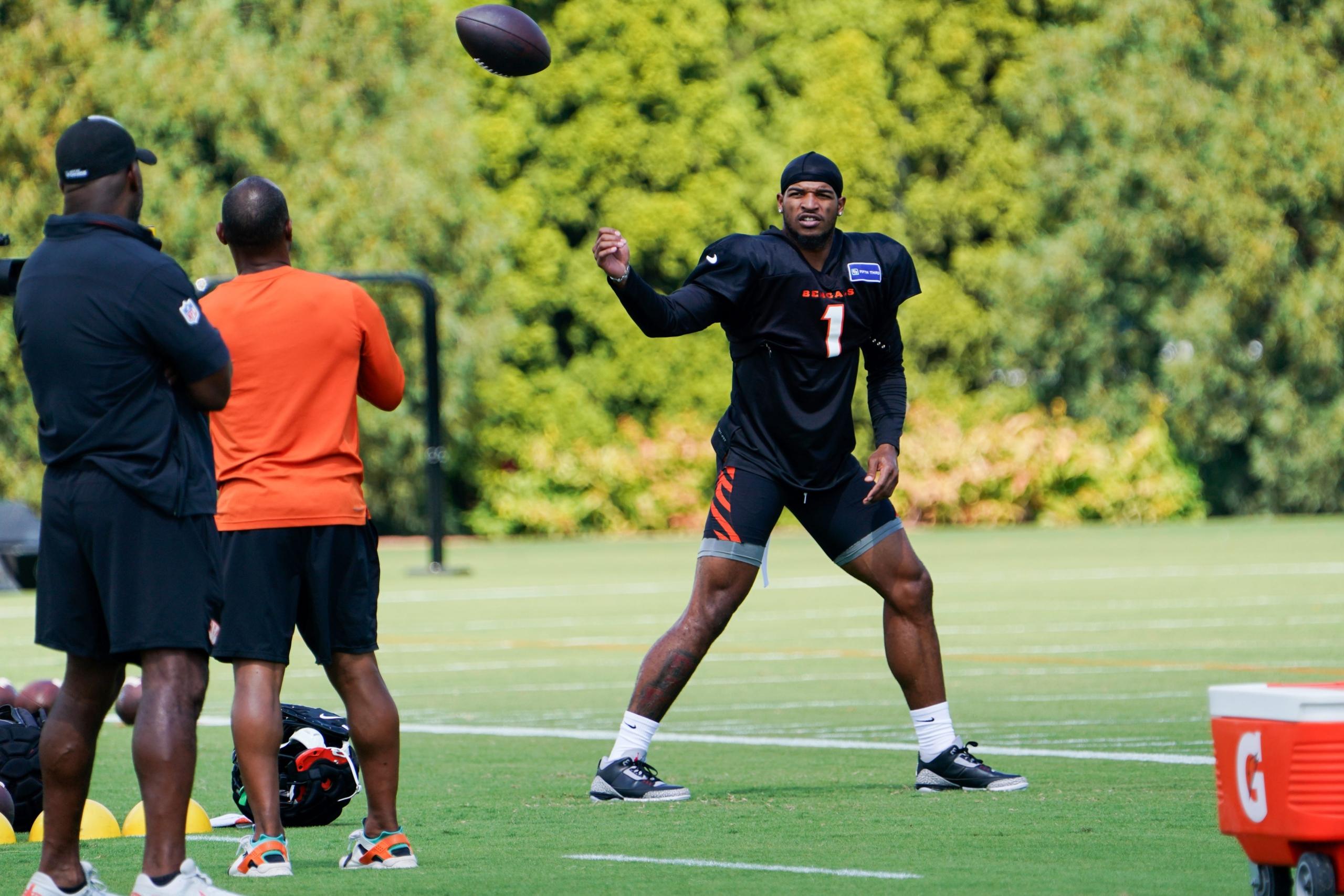 cincinnati bengals