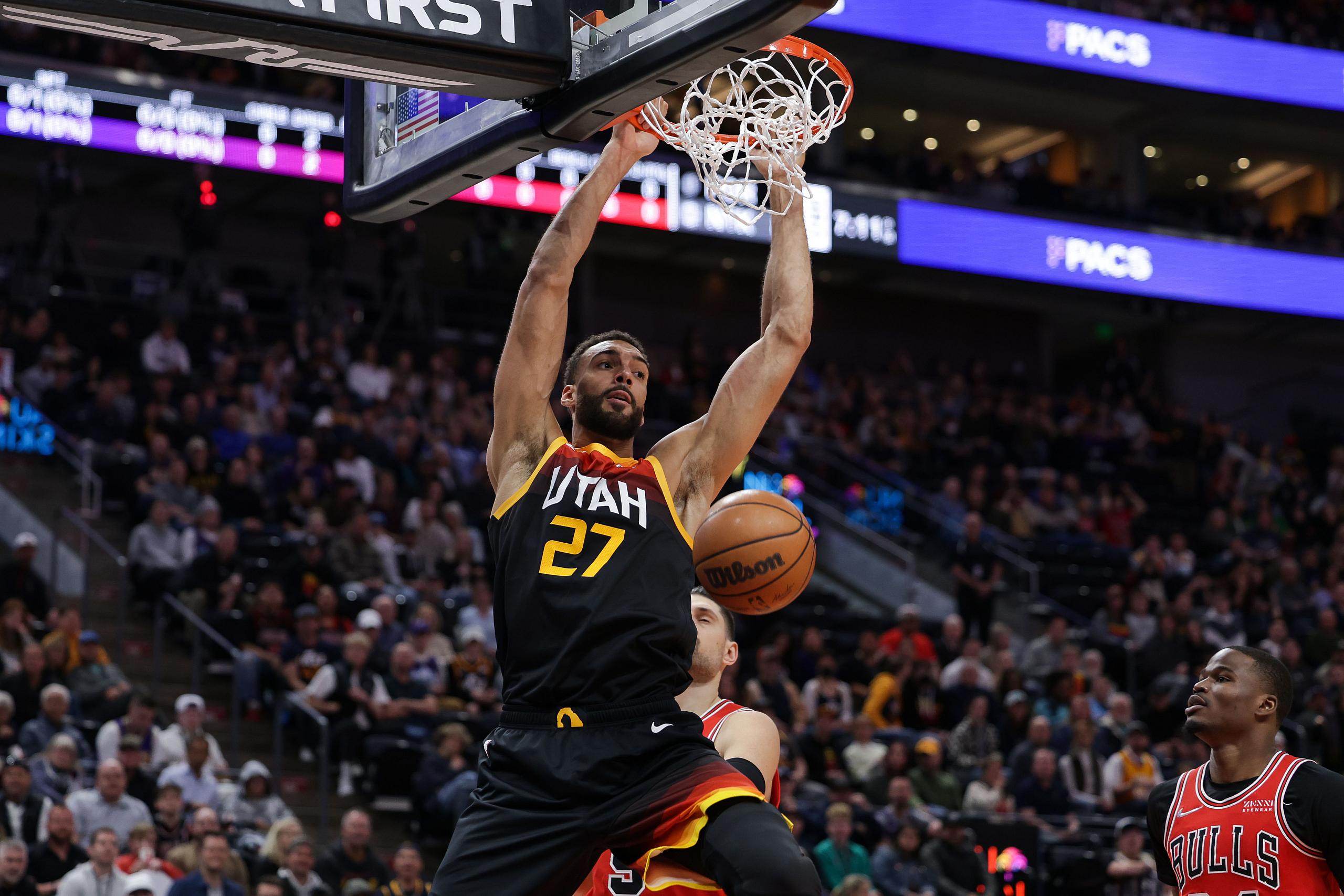 chicago bulls, rudy gobert