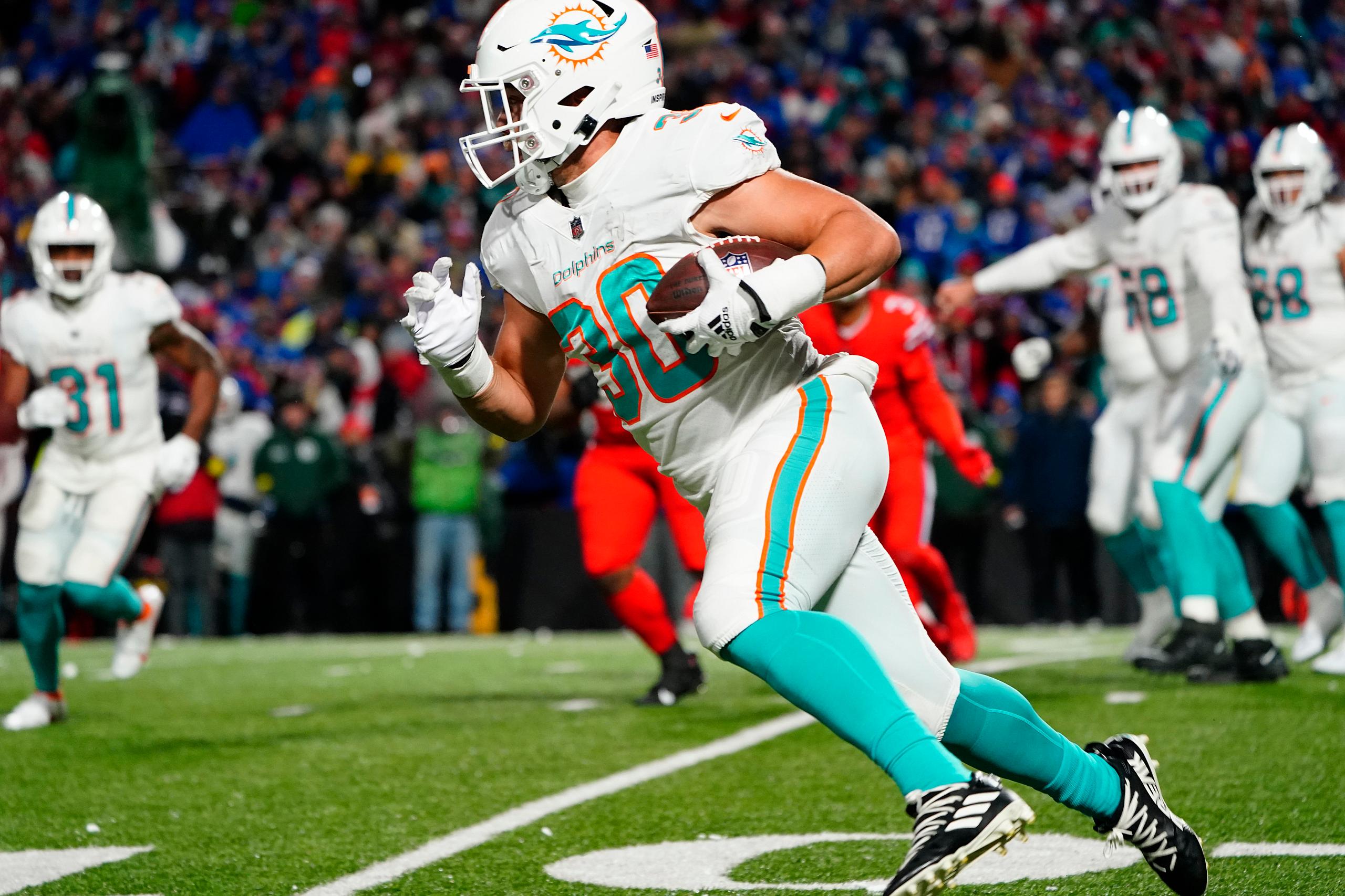miami dolphins