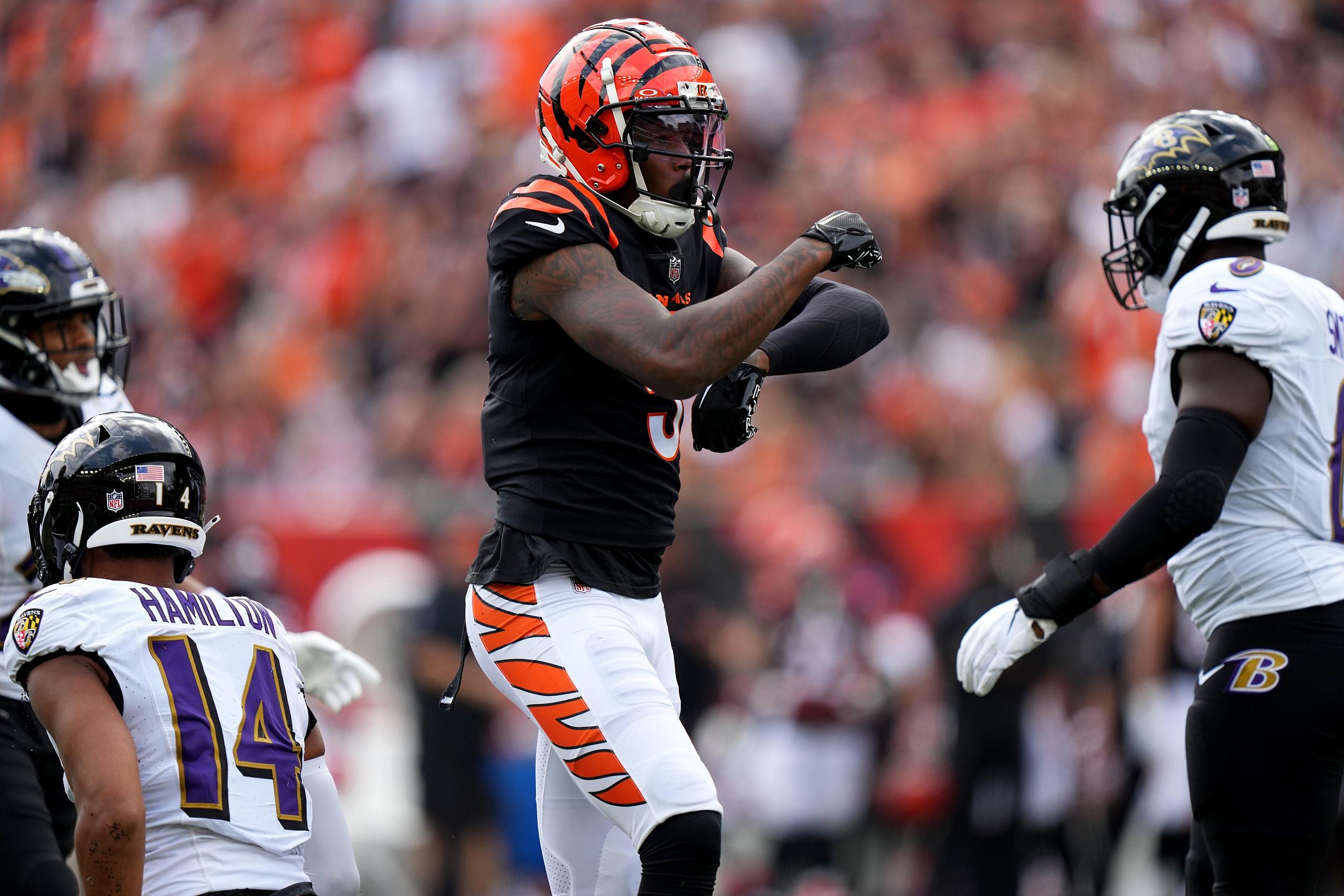 cincinnati bengals