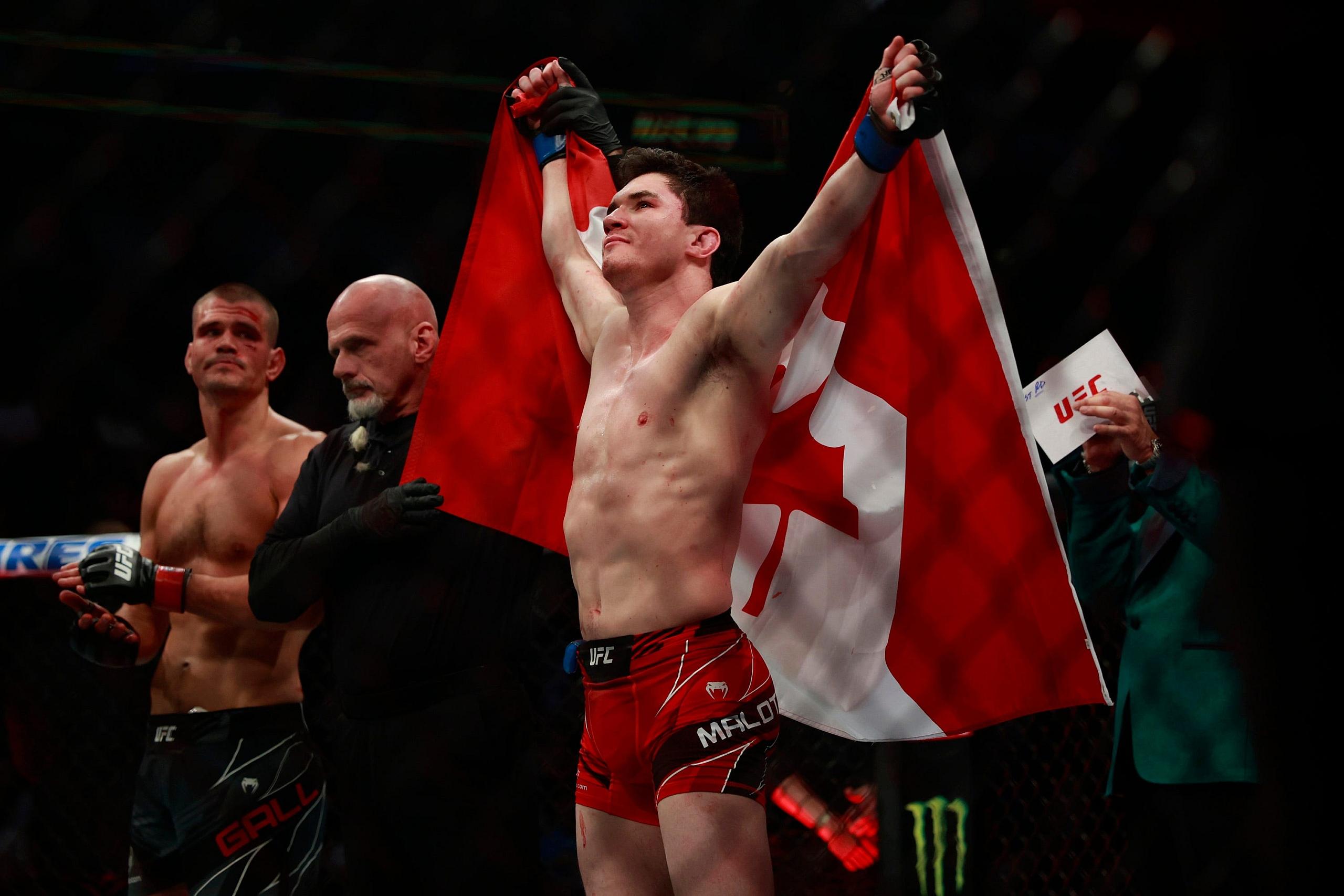 ufc predictions, ufc 297