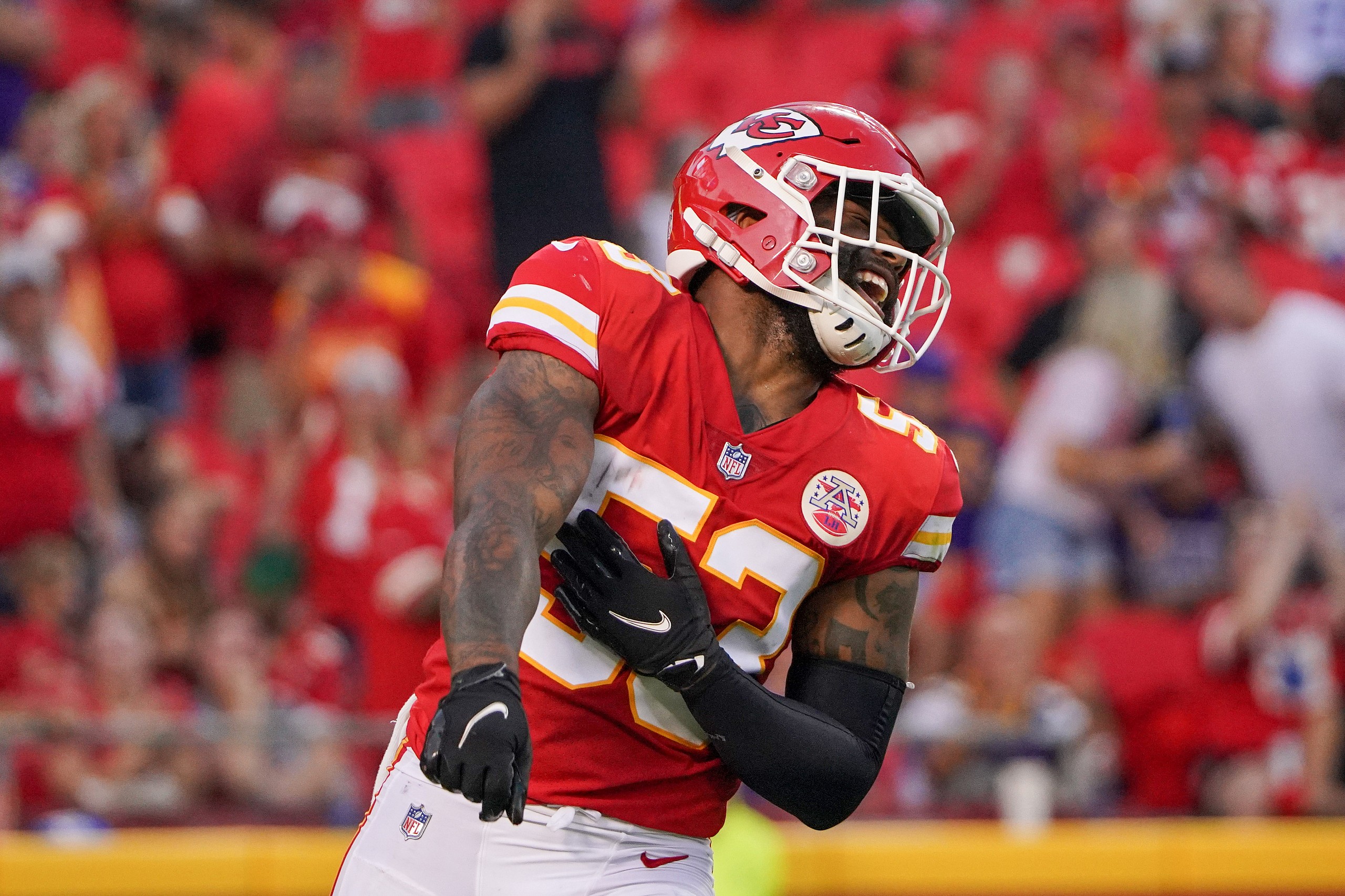 new england patriots sign anthony hitchens