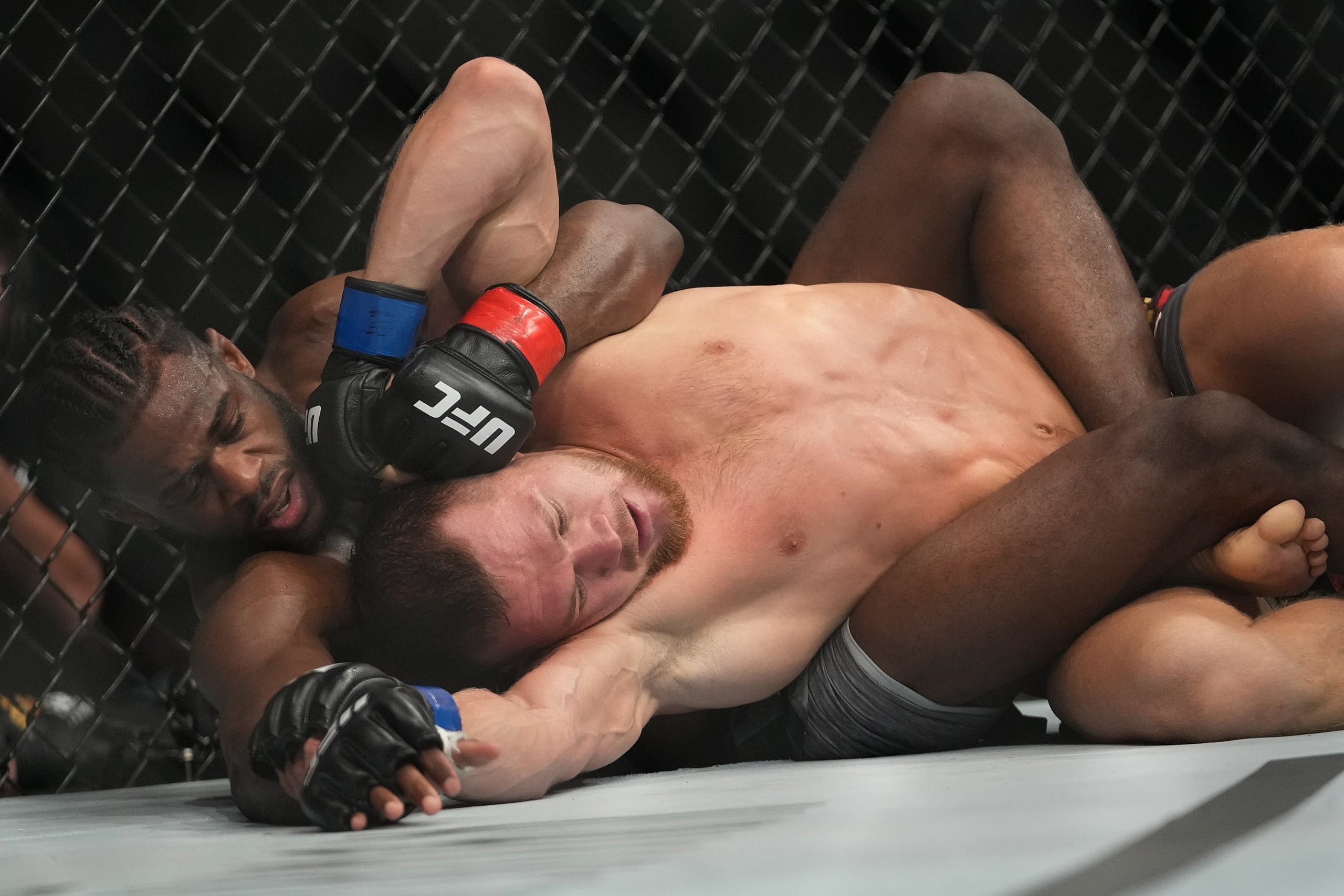 aljamain sterling, dana white