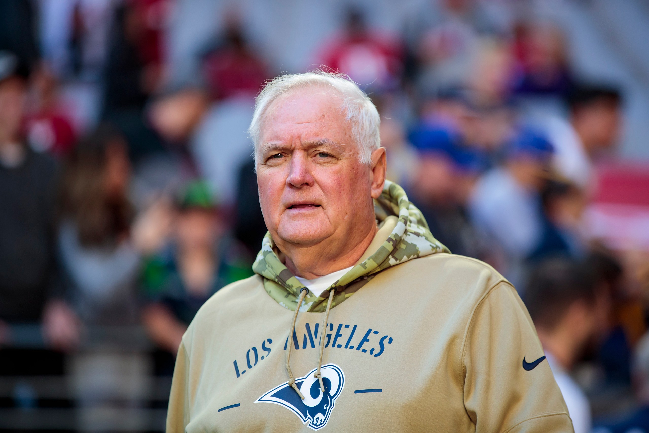 xfl coaches: wade phillips