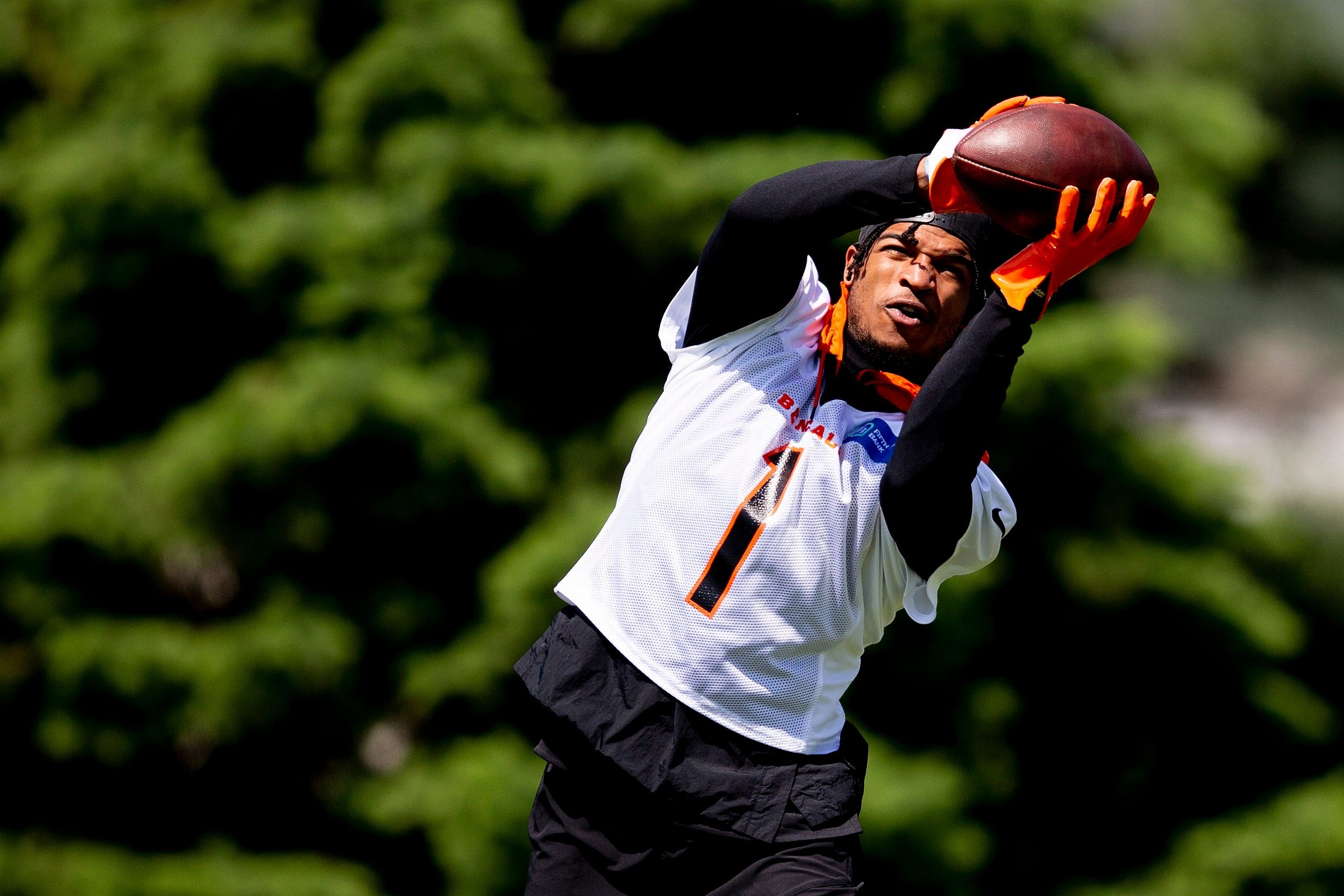 Syndication: The Enquirer