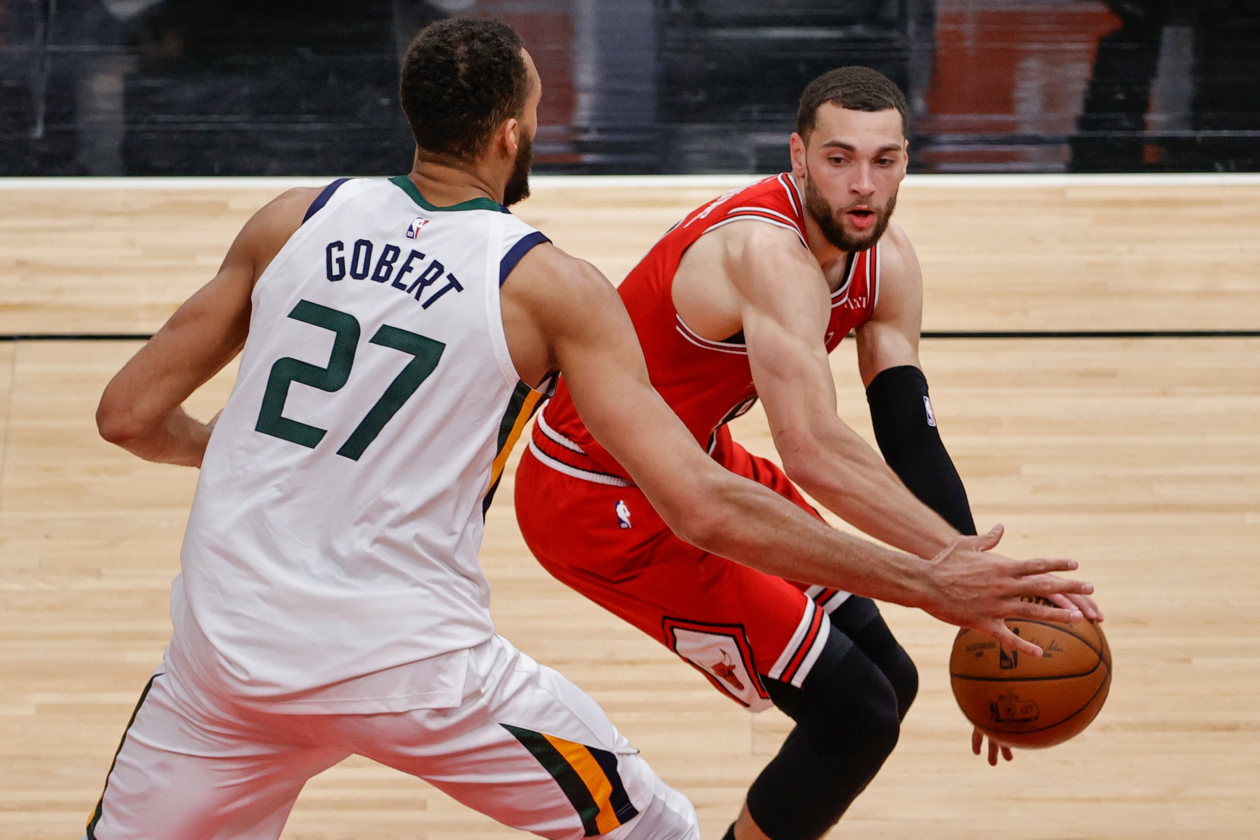 chicago bulls, rudy gobert
