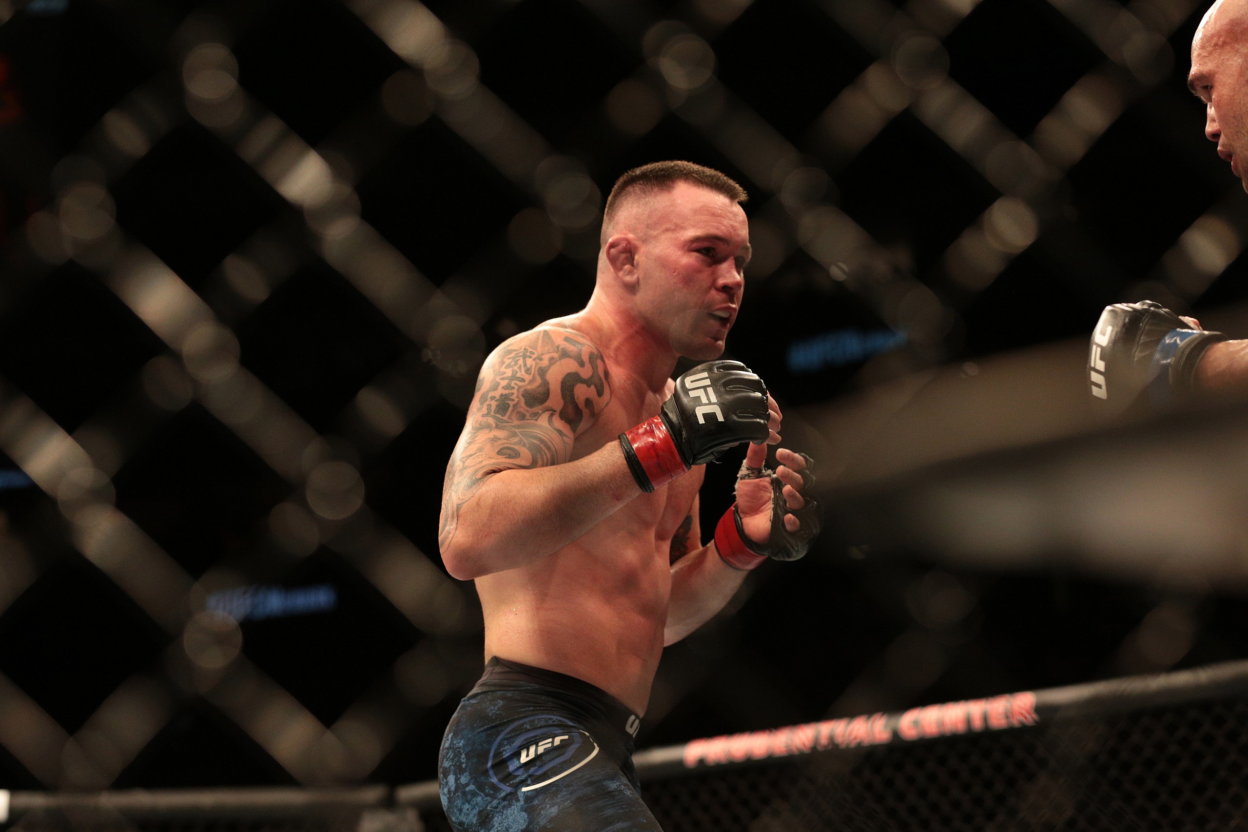 colby covington next fight