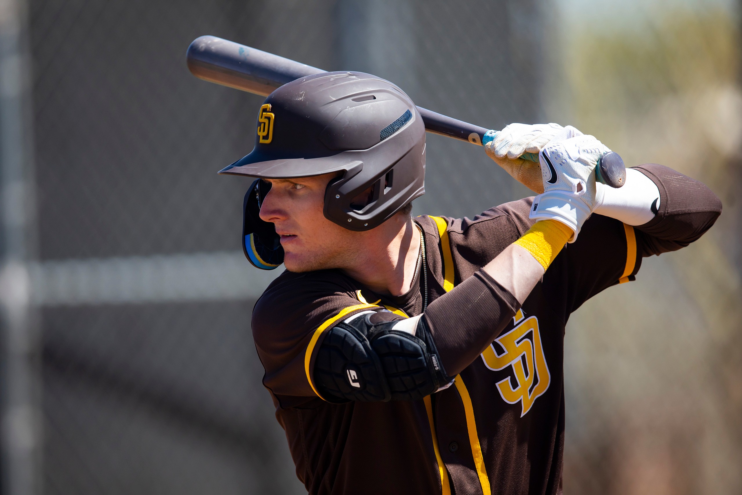 washington nationals prospects: robert hassell iii