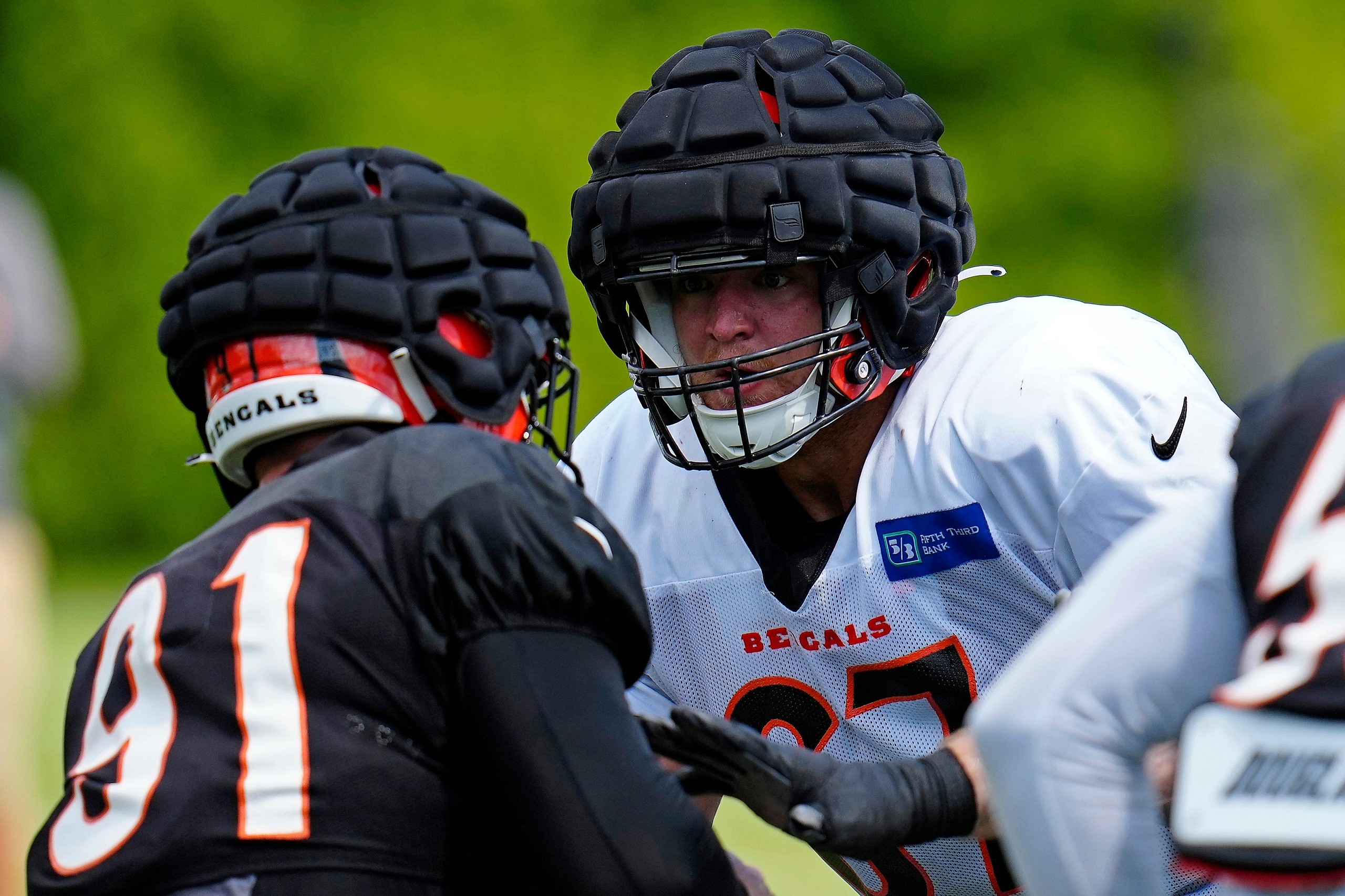 cincinnati bengals