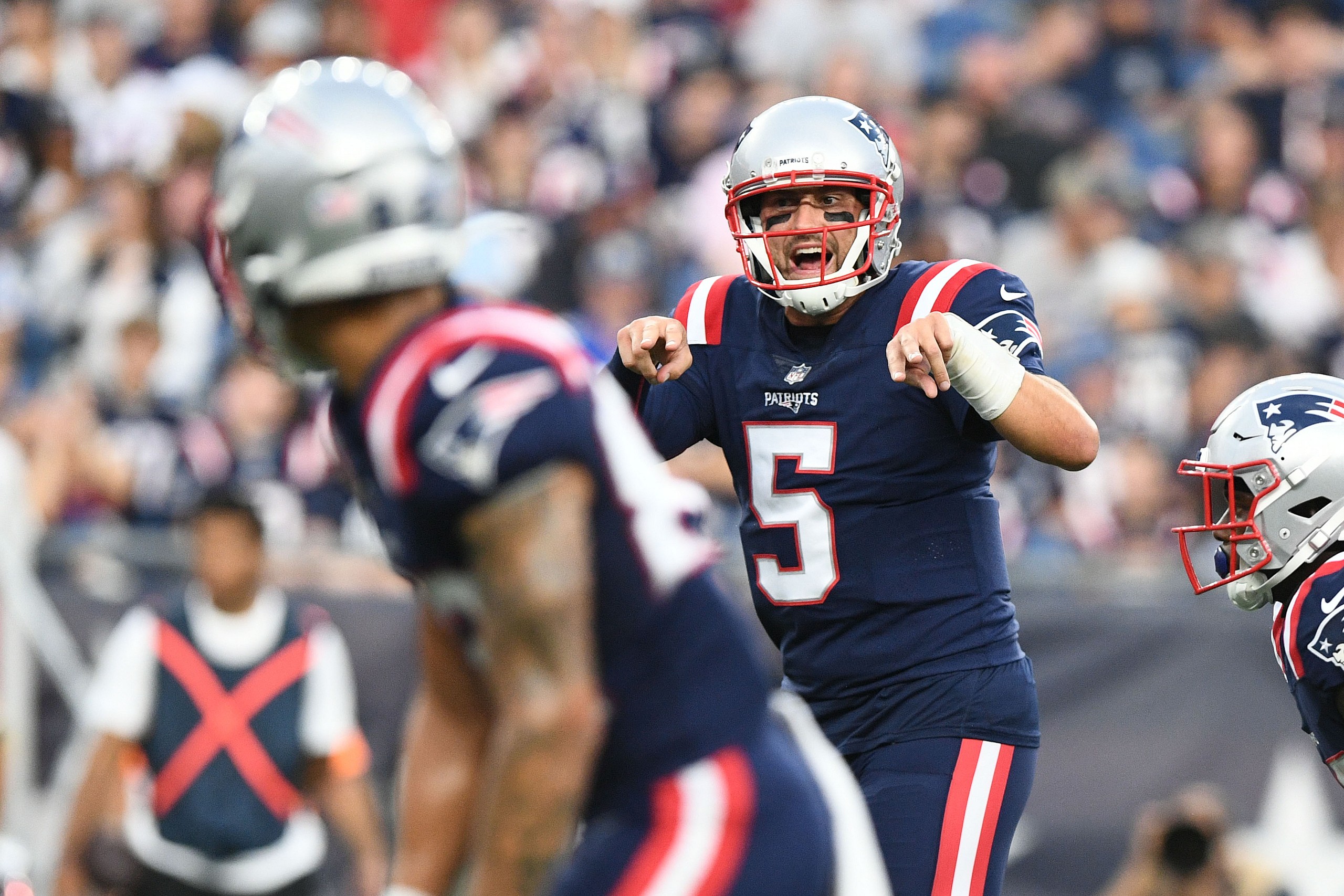 new england patriots brian hoyer, bailey zappe