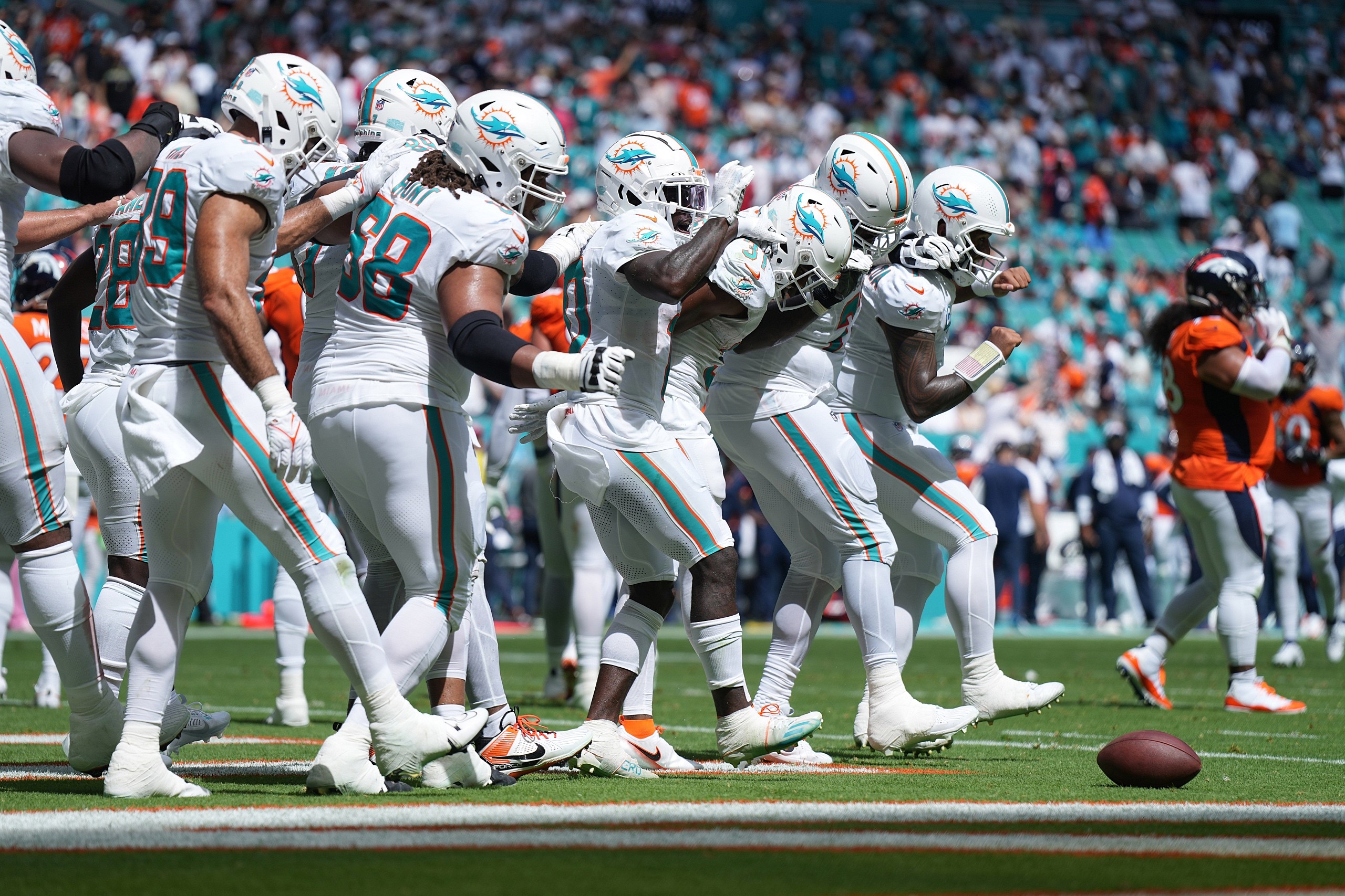miami dolphins