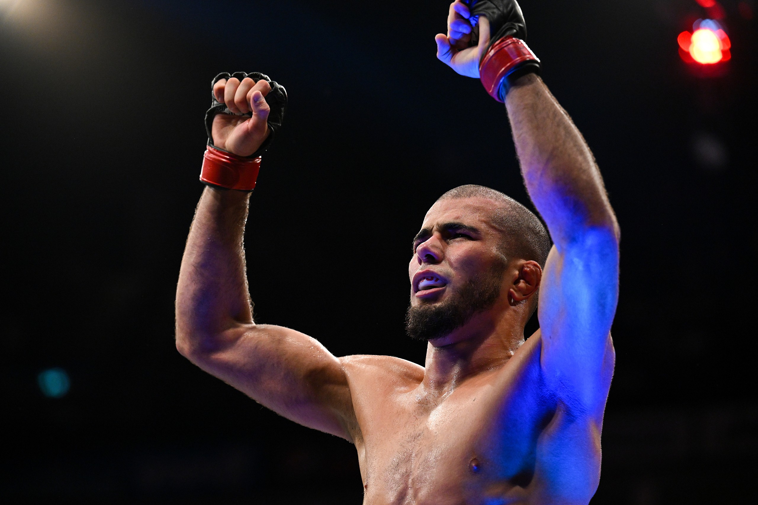 ufc predictions, ufc 294