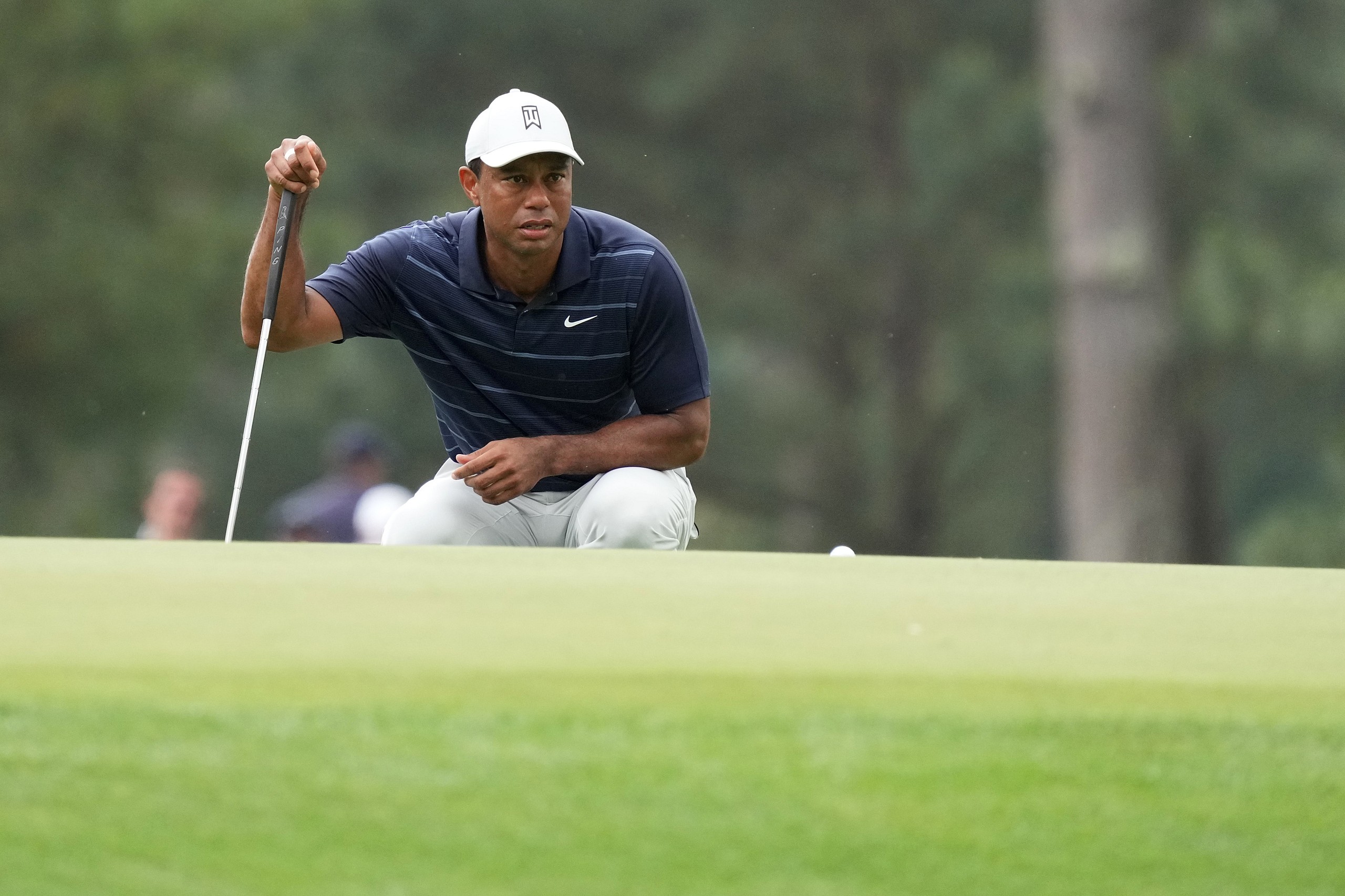 tiger woods, pga tour