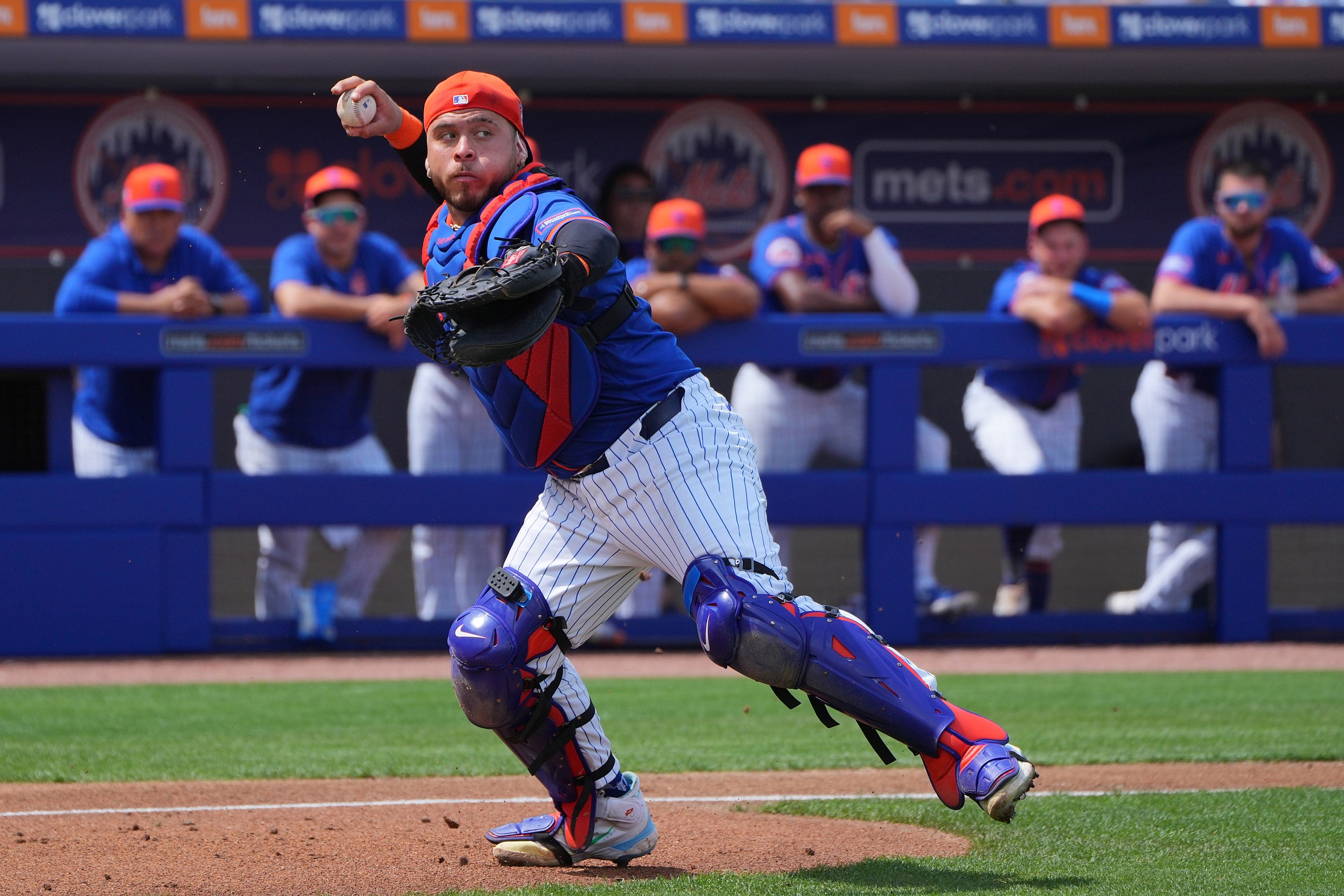 New York Mets season preview
