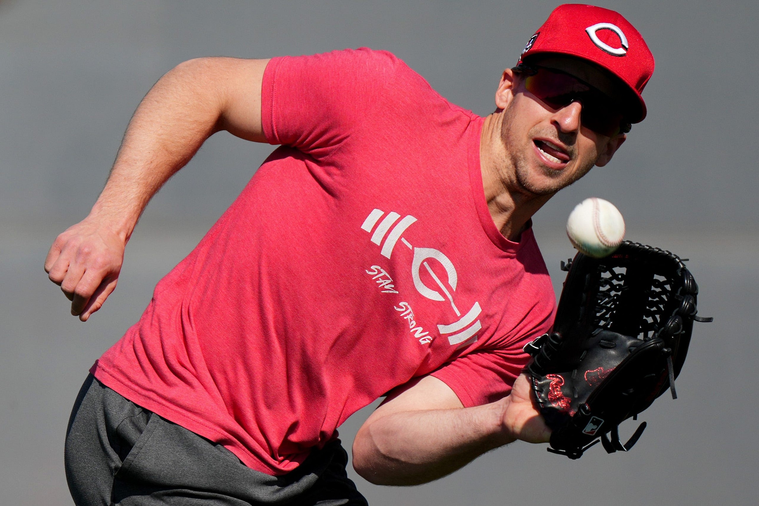 cincinnati reds