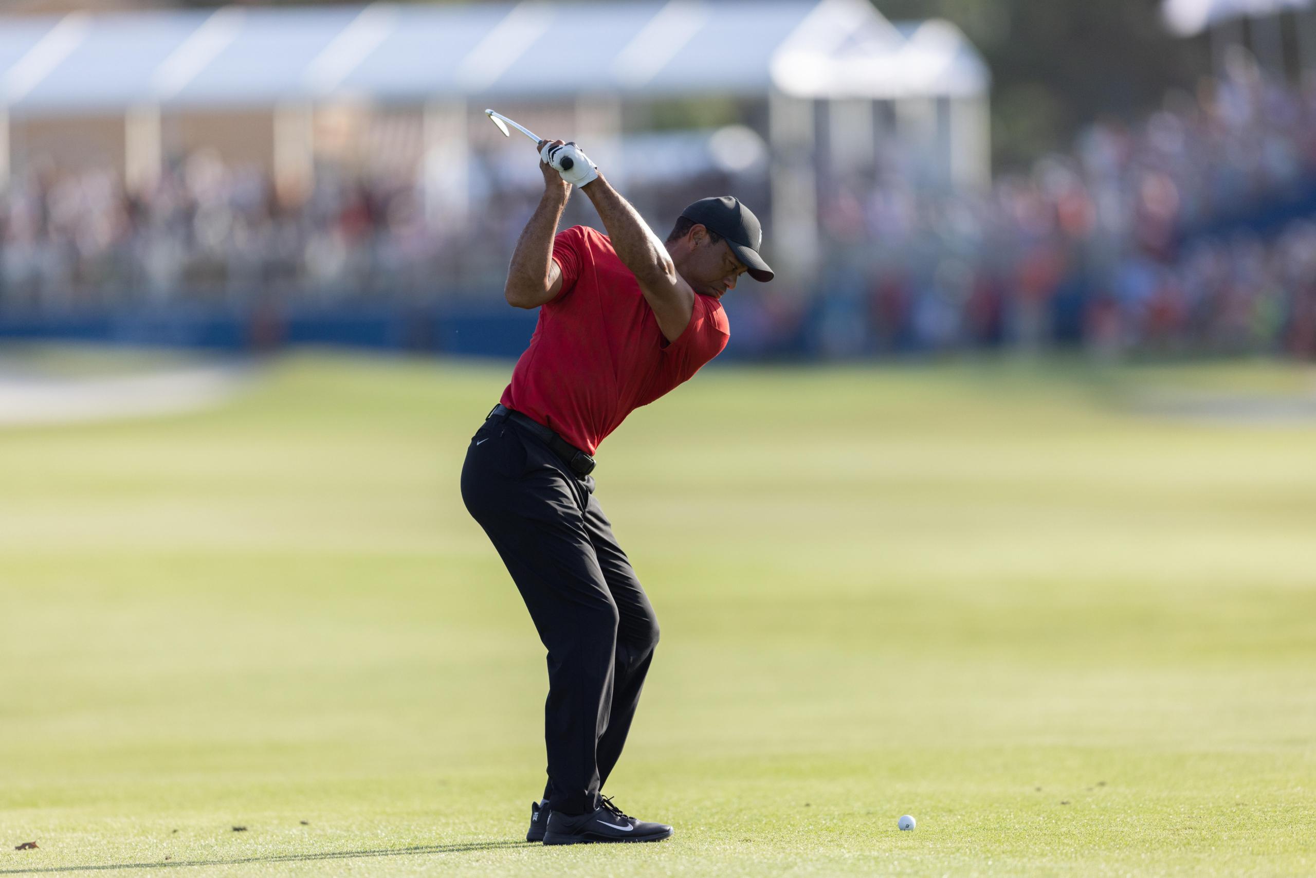tiger woods, pga masters